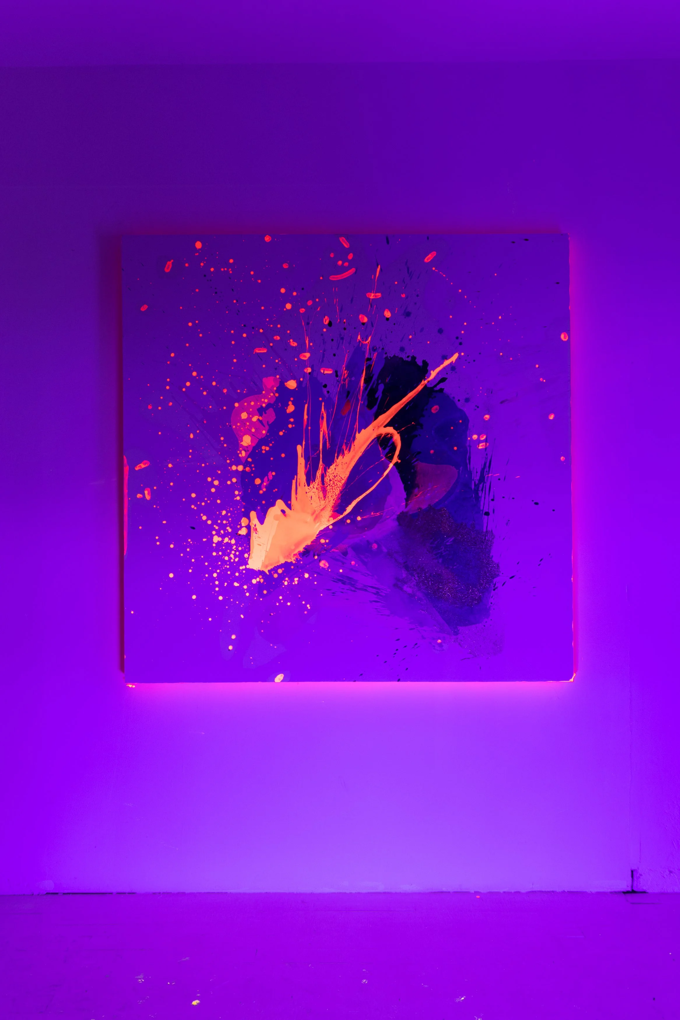 El principio del sueño lUZ NEGRA.jpg