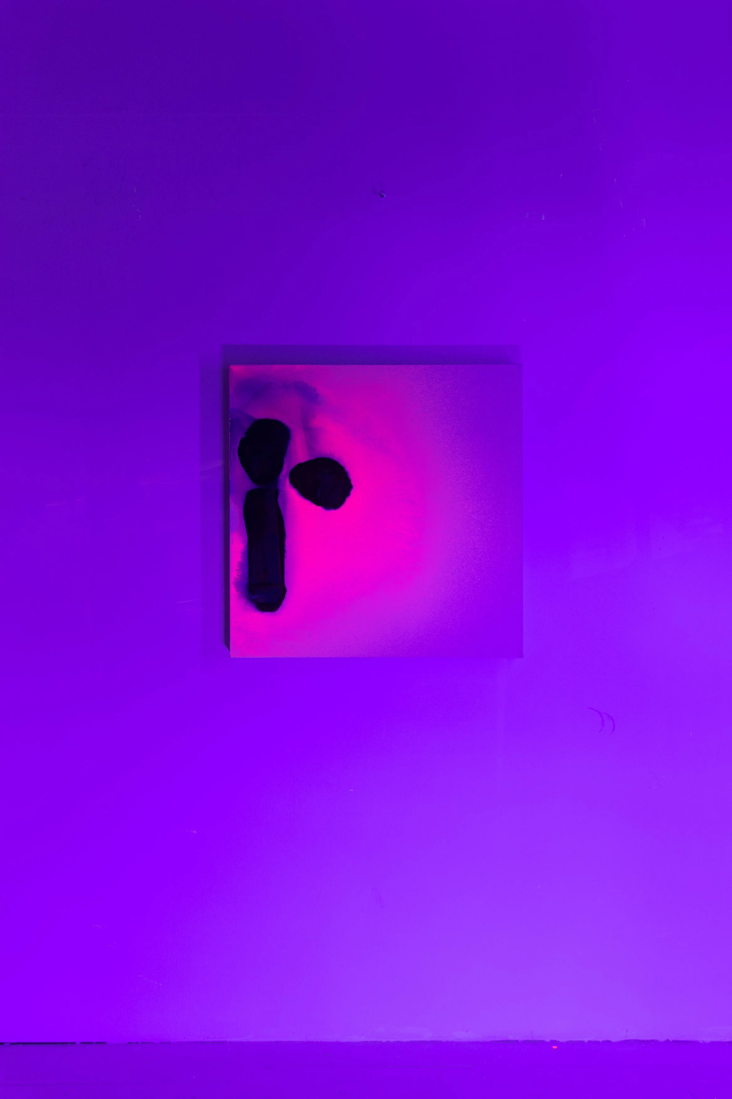 Fogata LUZ NEGRA.jpg