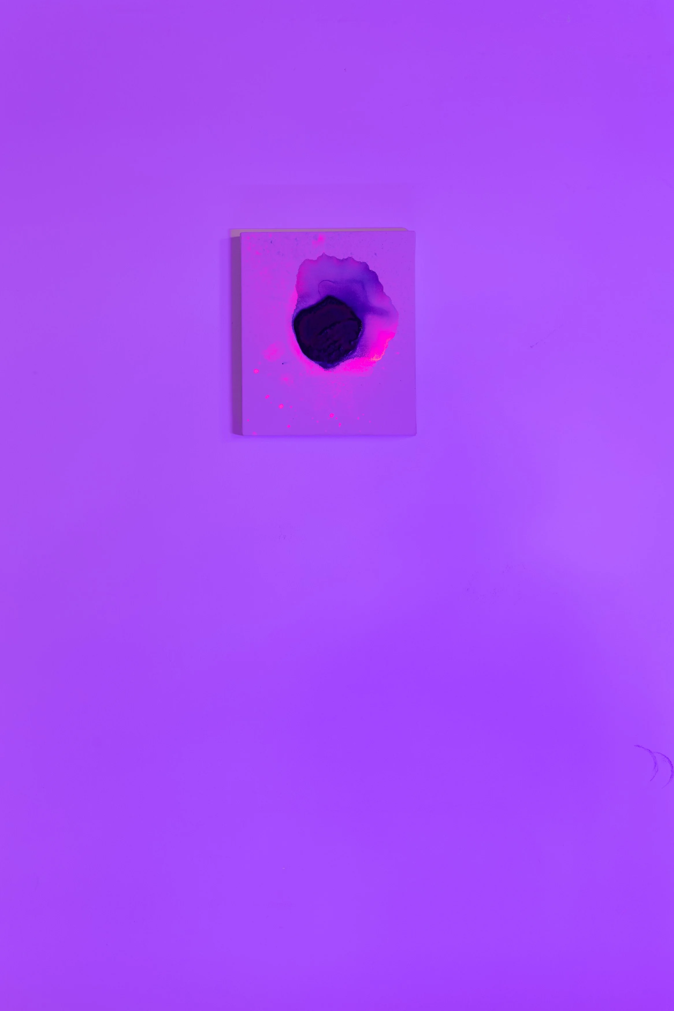 piedra bailando LUZ NEGRA.jpg