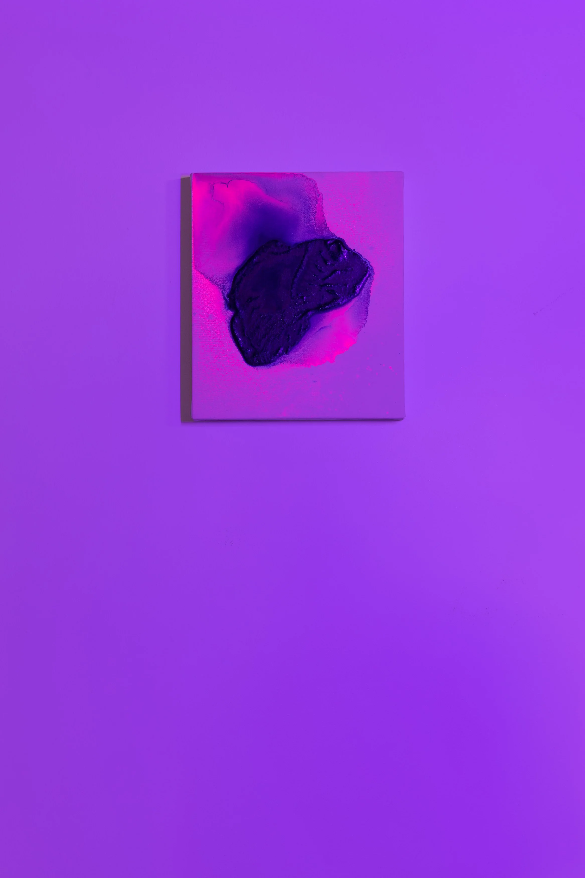piedra soñando LUZ NEGRA.jpg