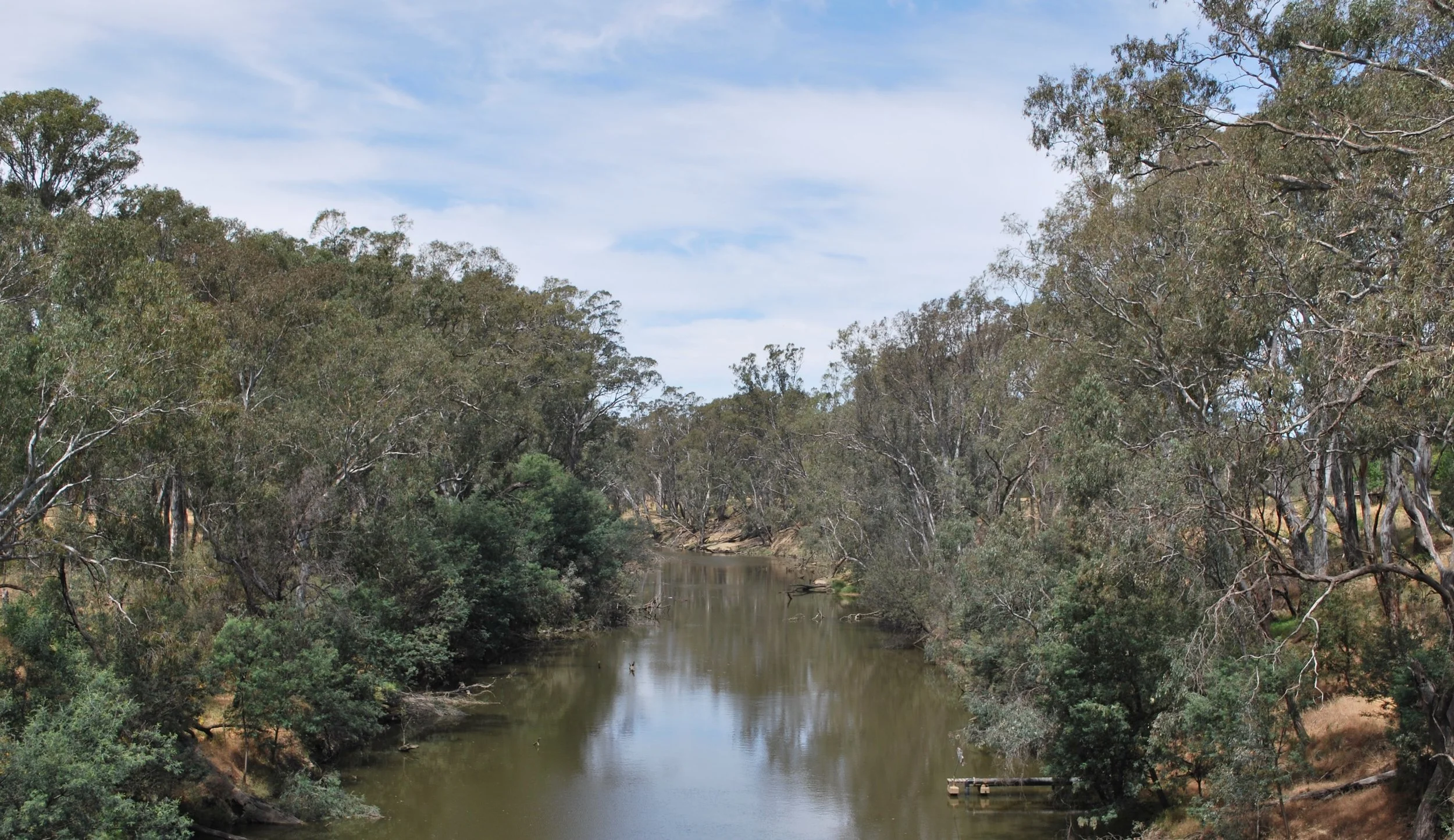 MEDIA RELEASE: Prime Minister needs to take action on the Murray-Darling