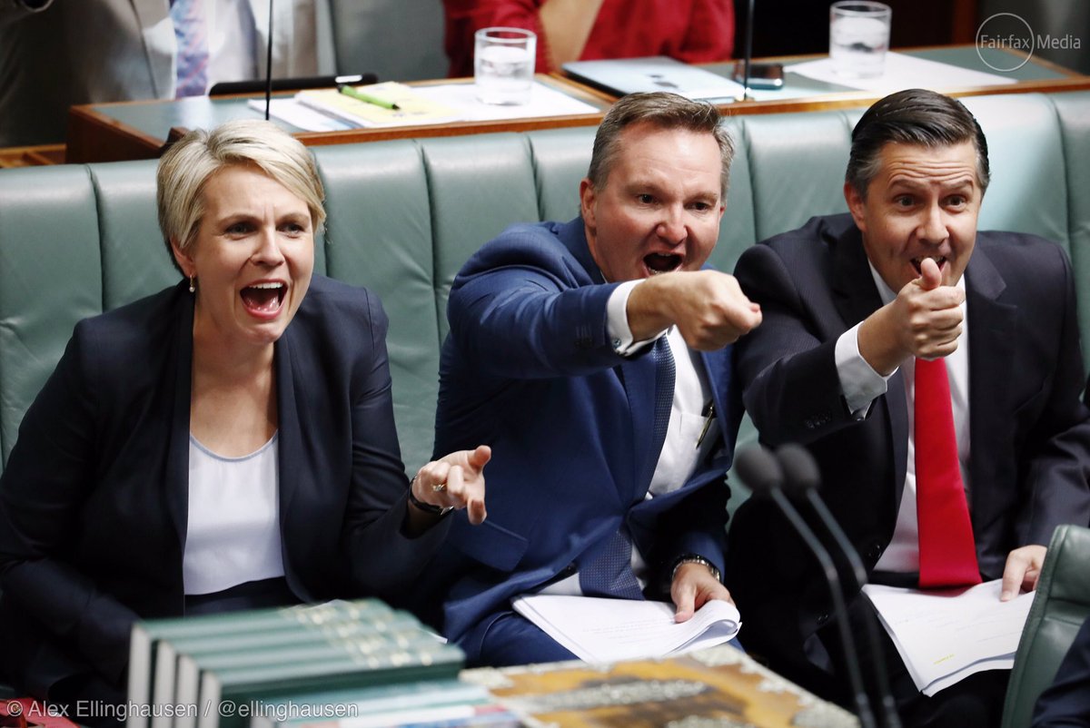 Photo credit @ ellinghausen