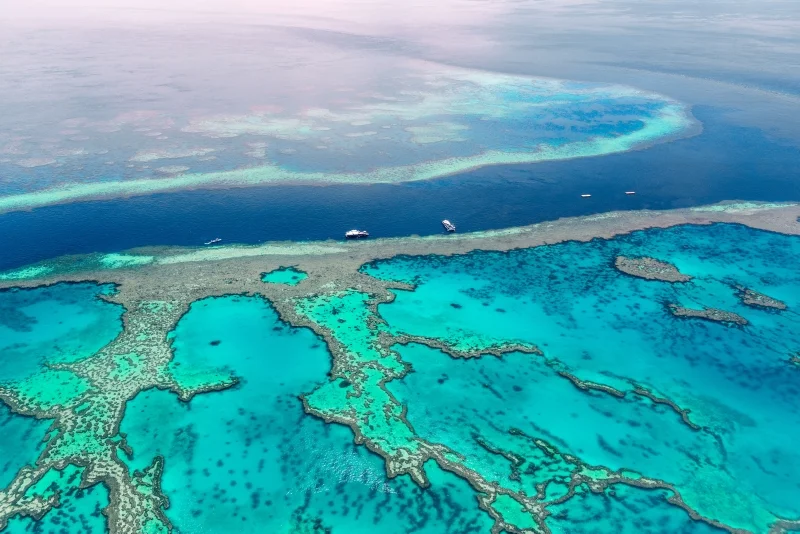 MEDIA RELEASE: TURNBULL NEEDS TO GET SERIOUS ABOUT CLIMATE CHANGE TO PROTECT REEF