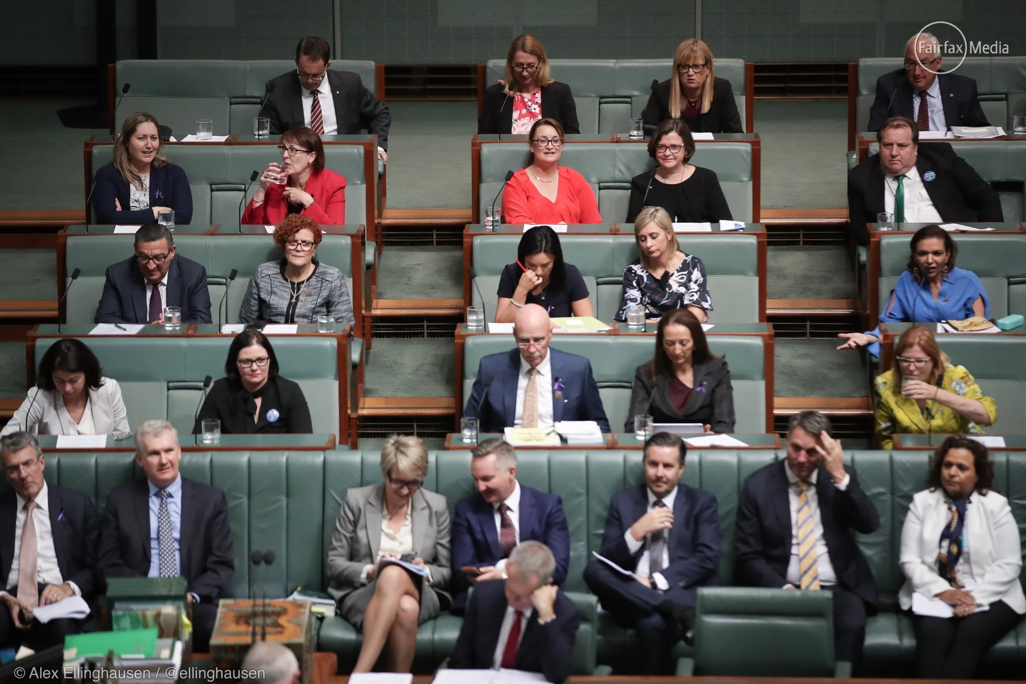 #5and5 Turnbull's million dollar battlers