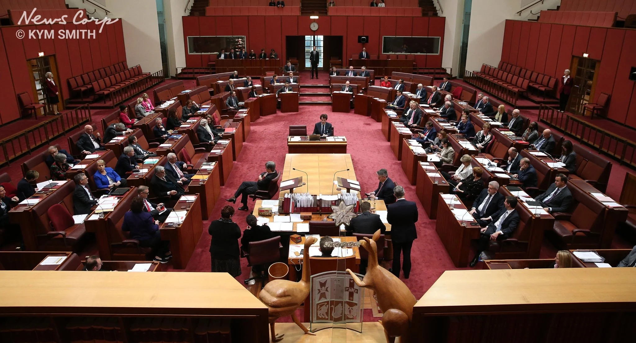 #5and5 Tax, fair tax and no tax. 