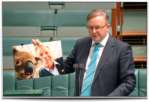 Albo.jpg