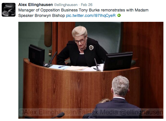 Fairfax Photographer Alex Ellinghausen / Via Twitter: @ellinghausen