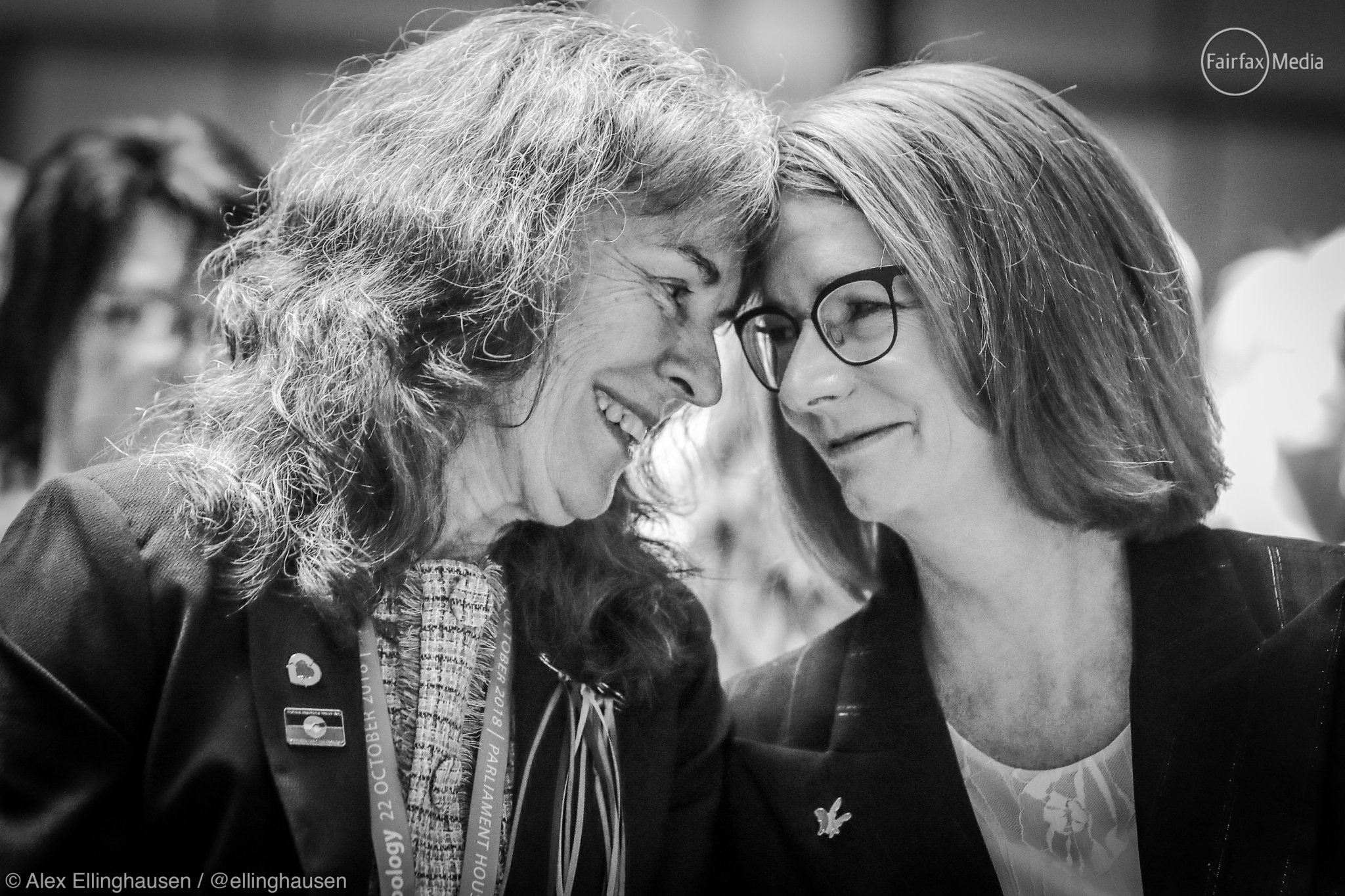 #5and5 The week of the apology