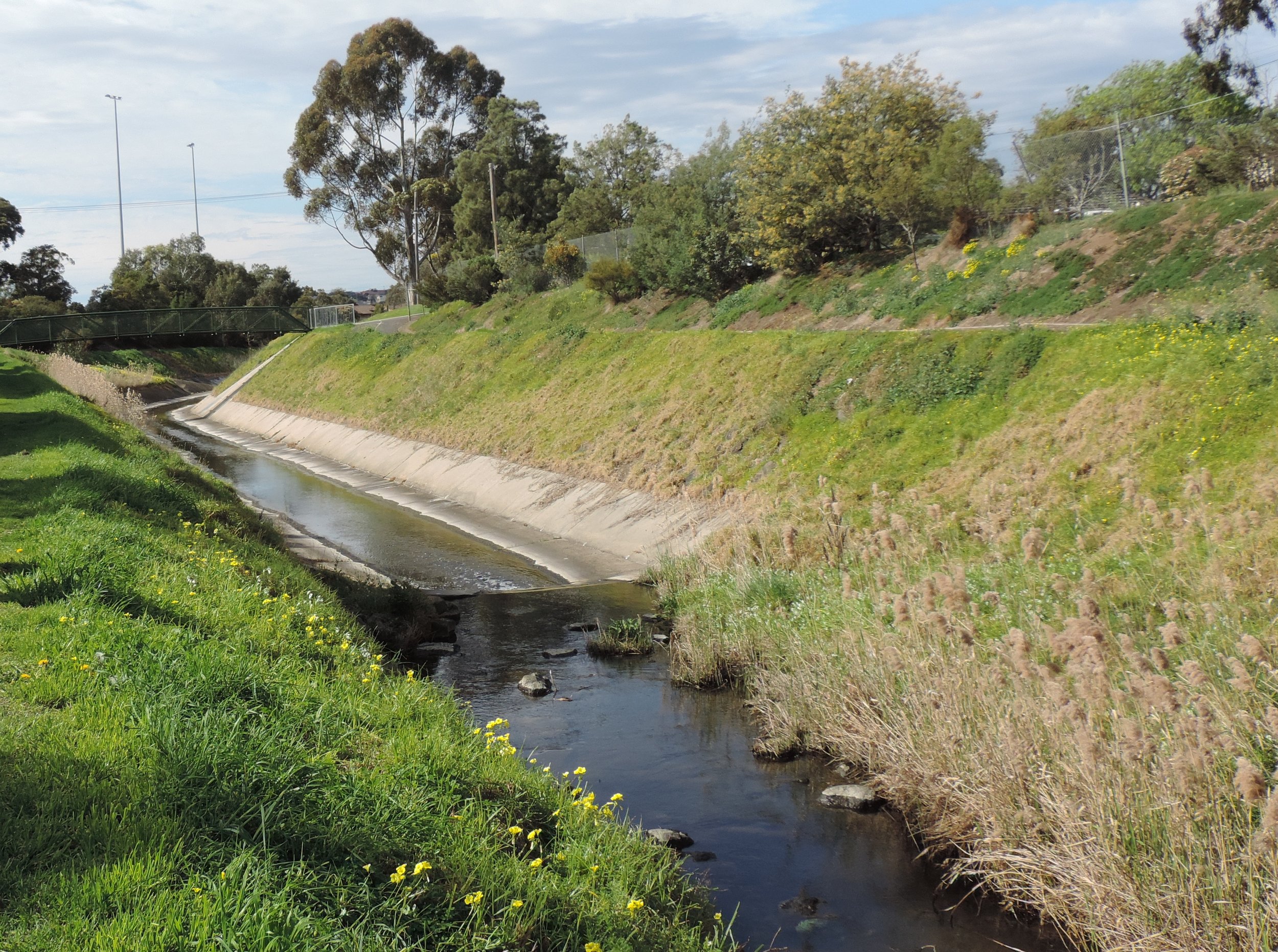 Moonee Ponds Creek