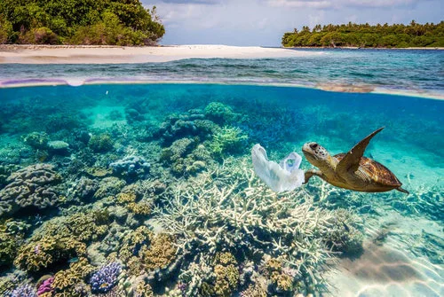 Protect our Oceans!