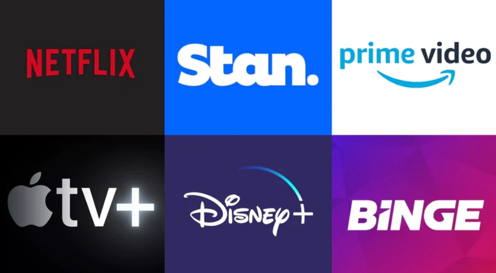 GOVERNMENT HITS THE SNOOZE BUTTON ON VIDEO STREAMING SERVICES