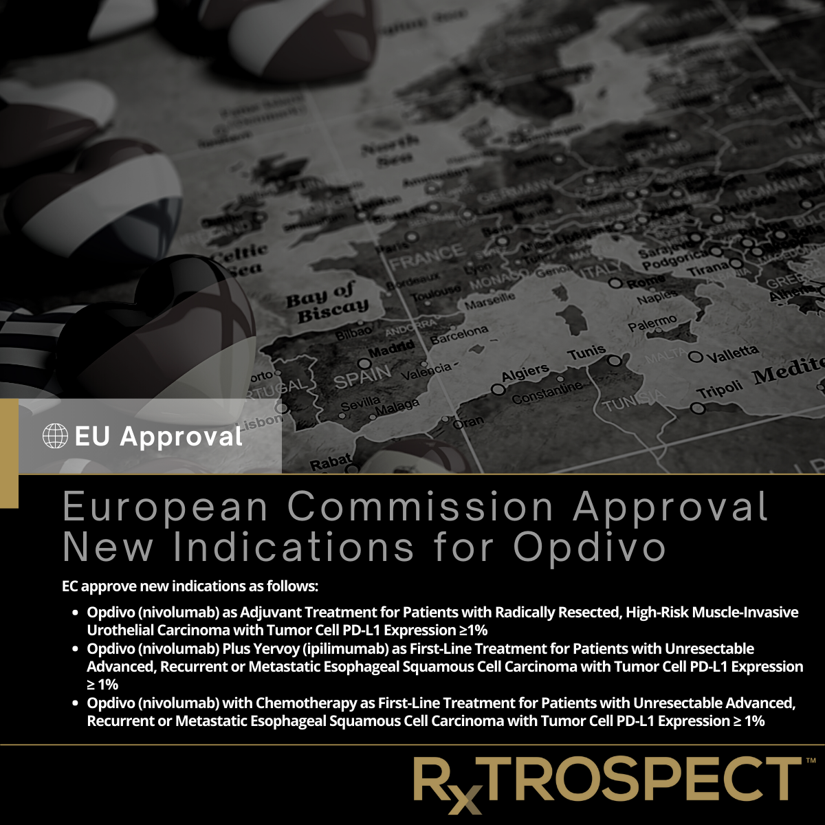European Commission Approval New Indications for Opdivo
