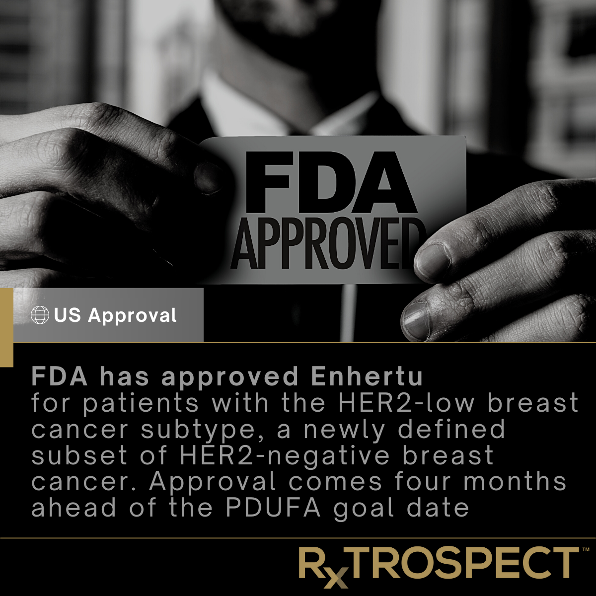 FDA has approved Enhertu for patients with the HER2-low breast cancer subtype