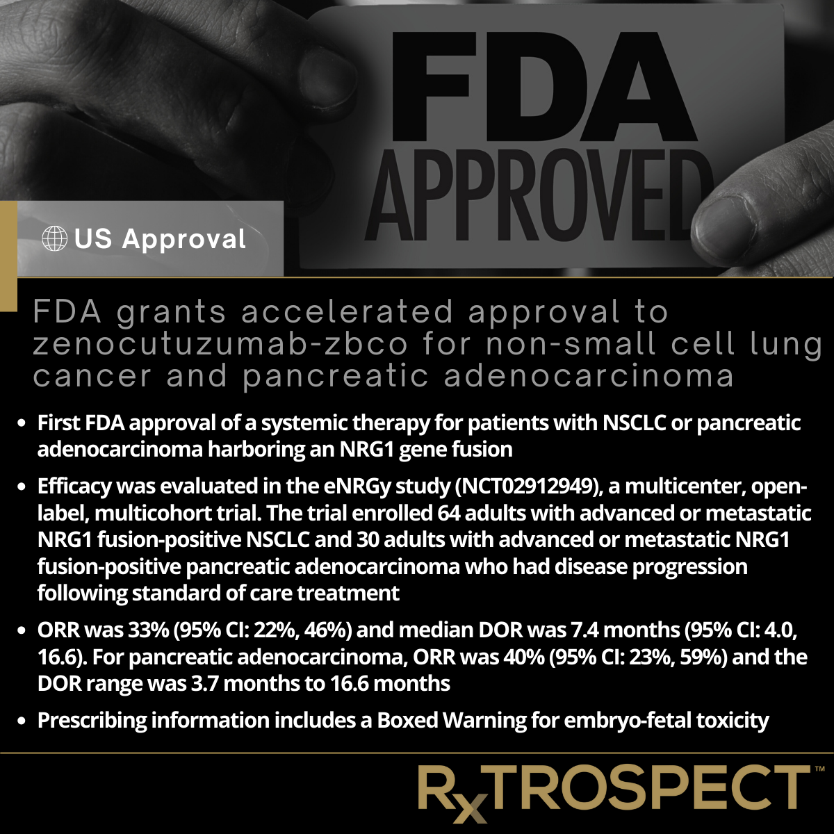 FDA grants accelerated approval to zenocutuzumab-zbco for non-small cell lung cancer and pancreatic adenocarcinoma