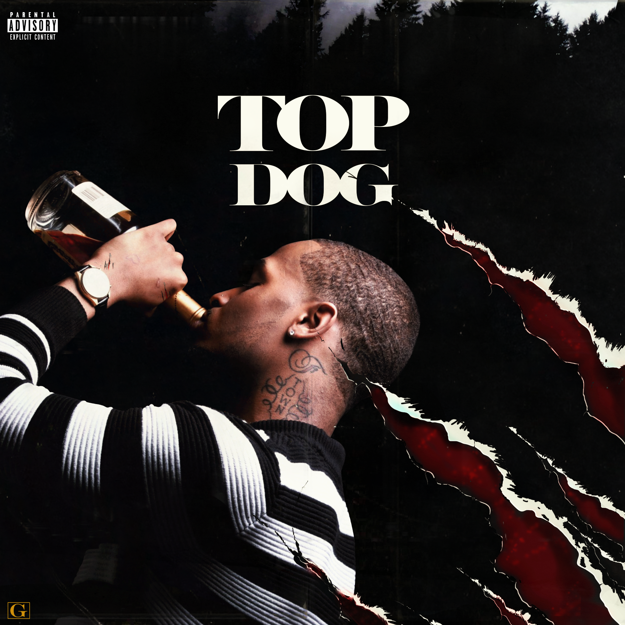 TOP-DAWG-1.png