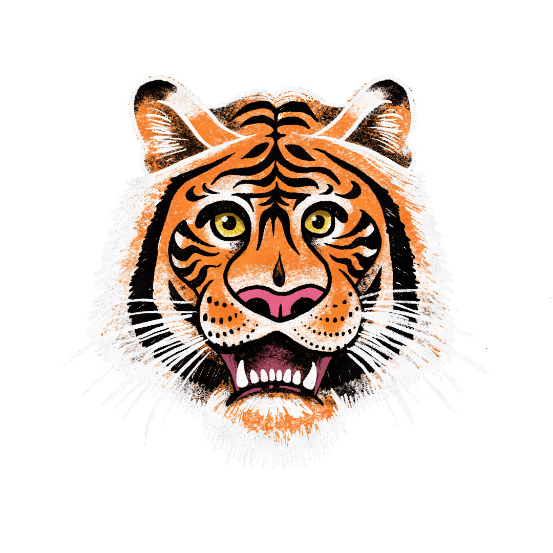 IMG_3287.gif