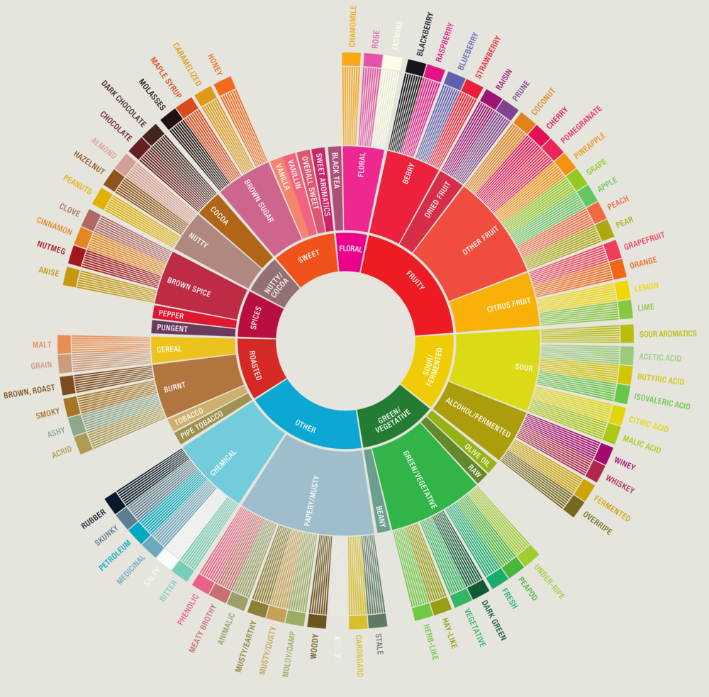 Coffee Flavor Wheel (original source unknown)
