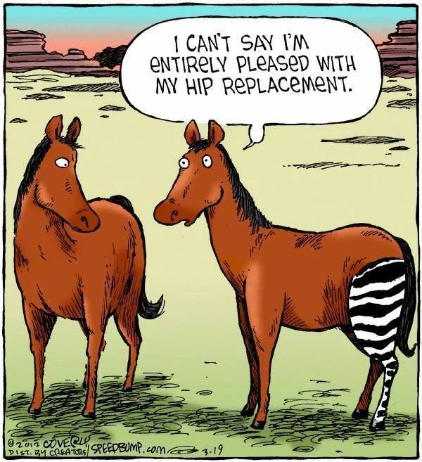 Hip Replacement Joke.