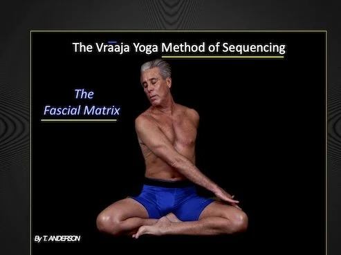 The Fascial Matrix System and Somatic Movement
