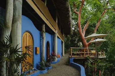 Haramara-237 small.jpeg