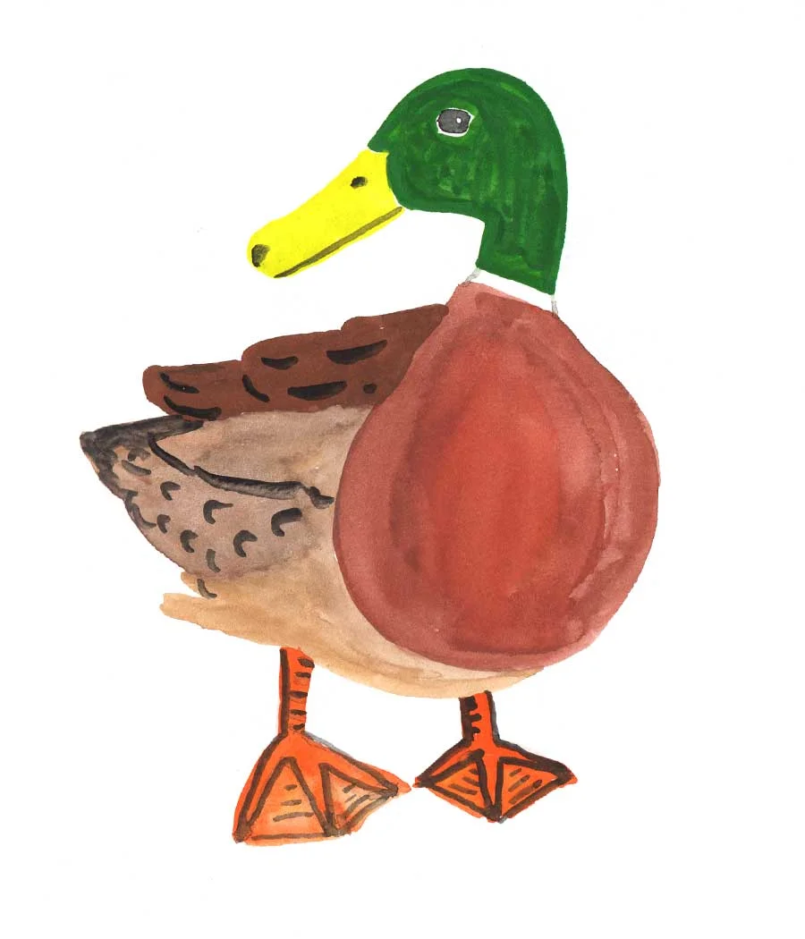 DuckPort.jpg