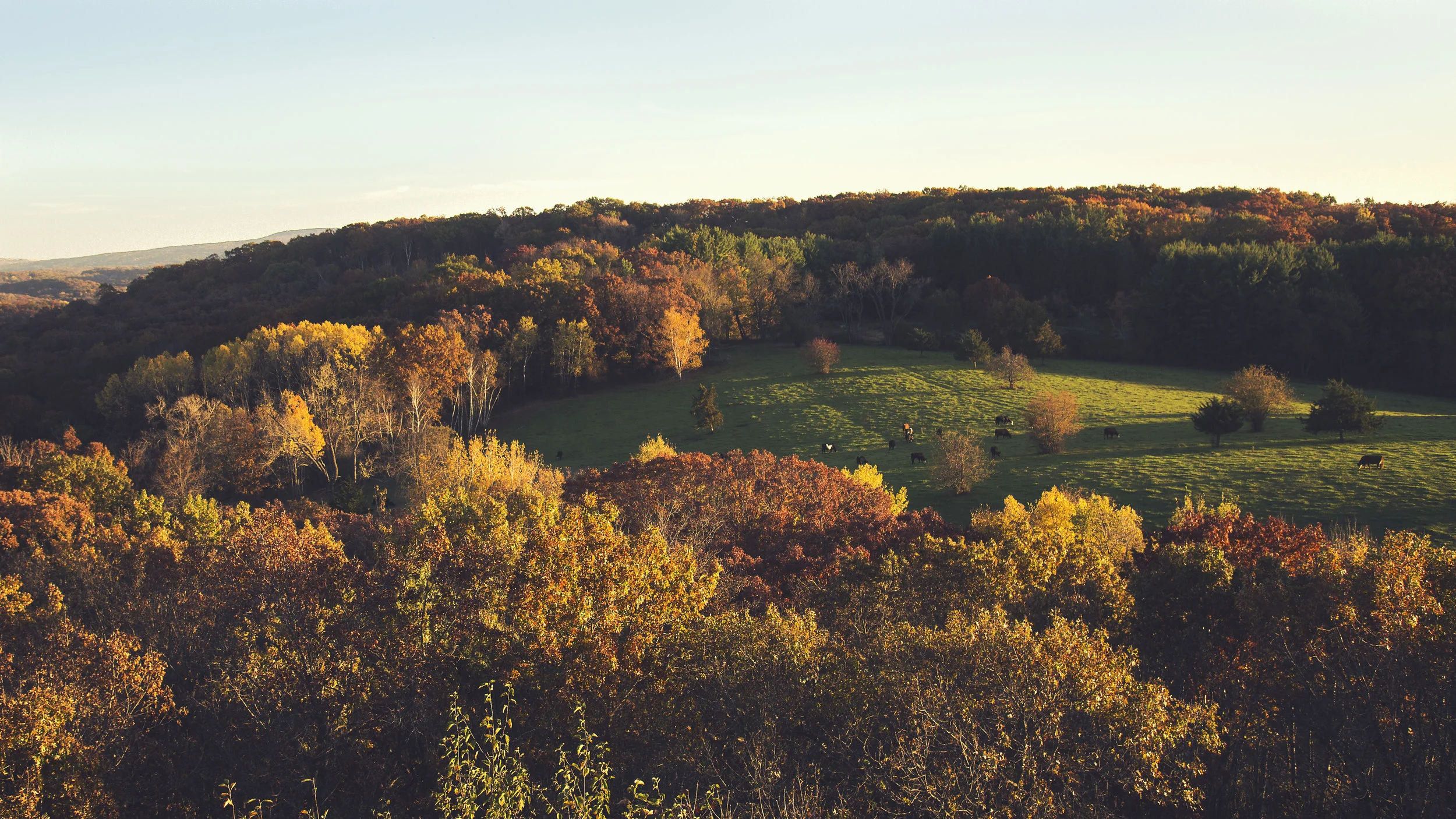 Barnaveld, Wisconsin