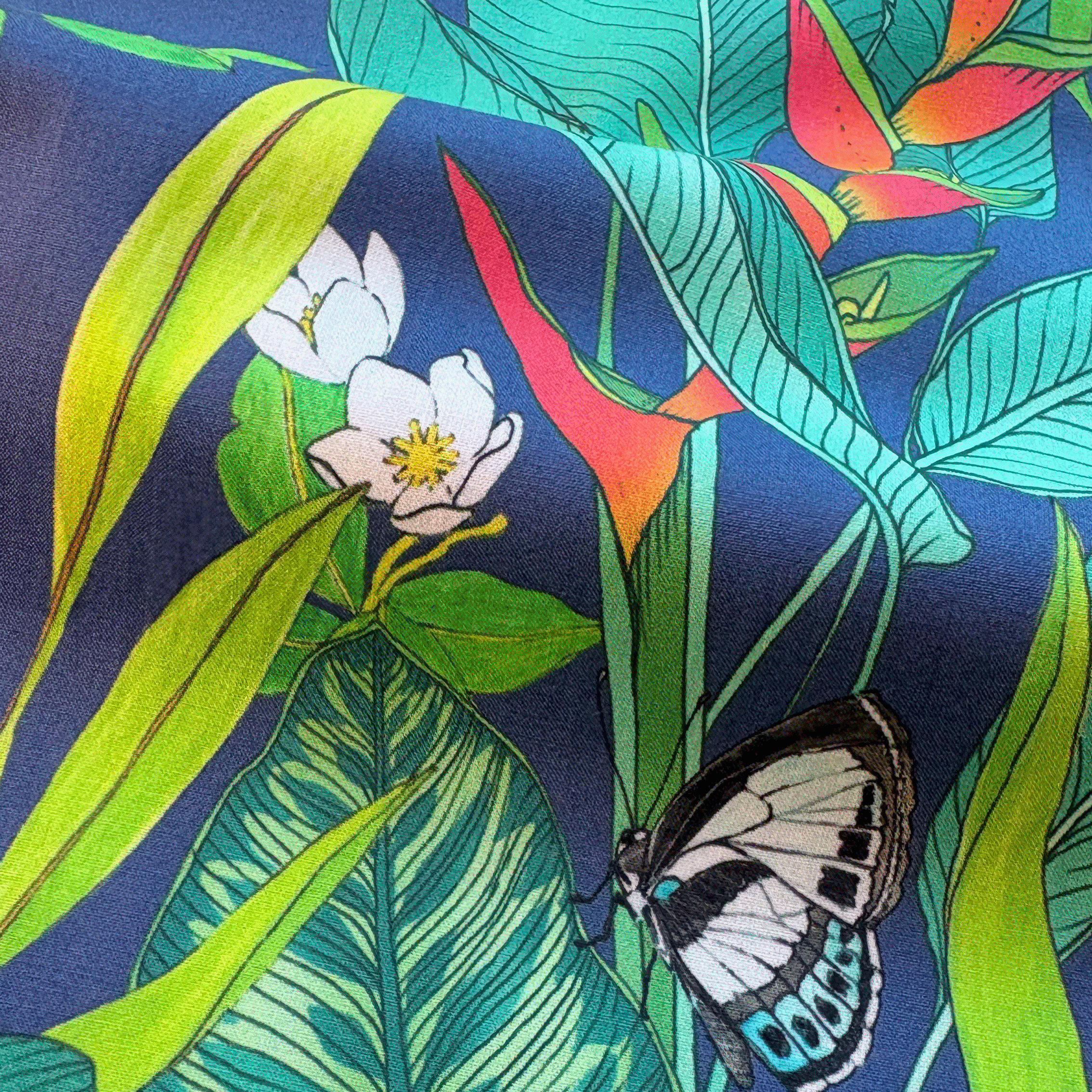Butterfly-Garden-closeup.png