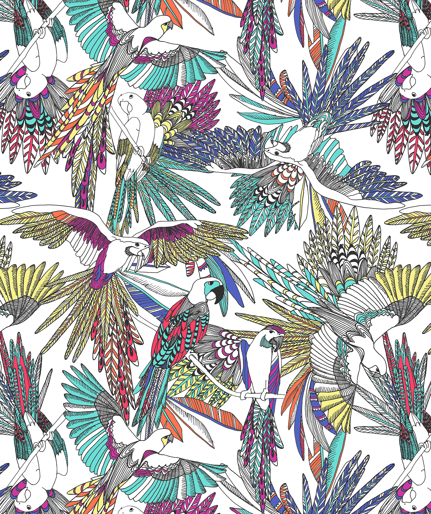 Tropical_Parrot_yrd7[1].jpg