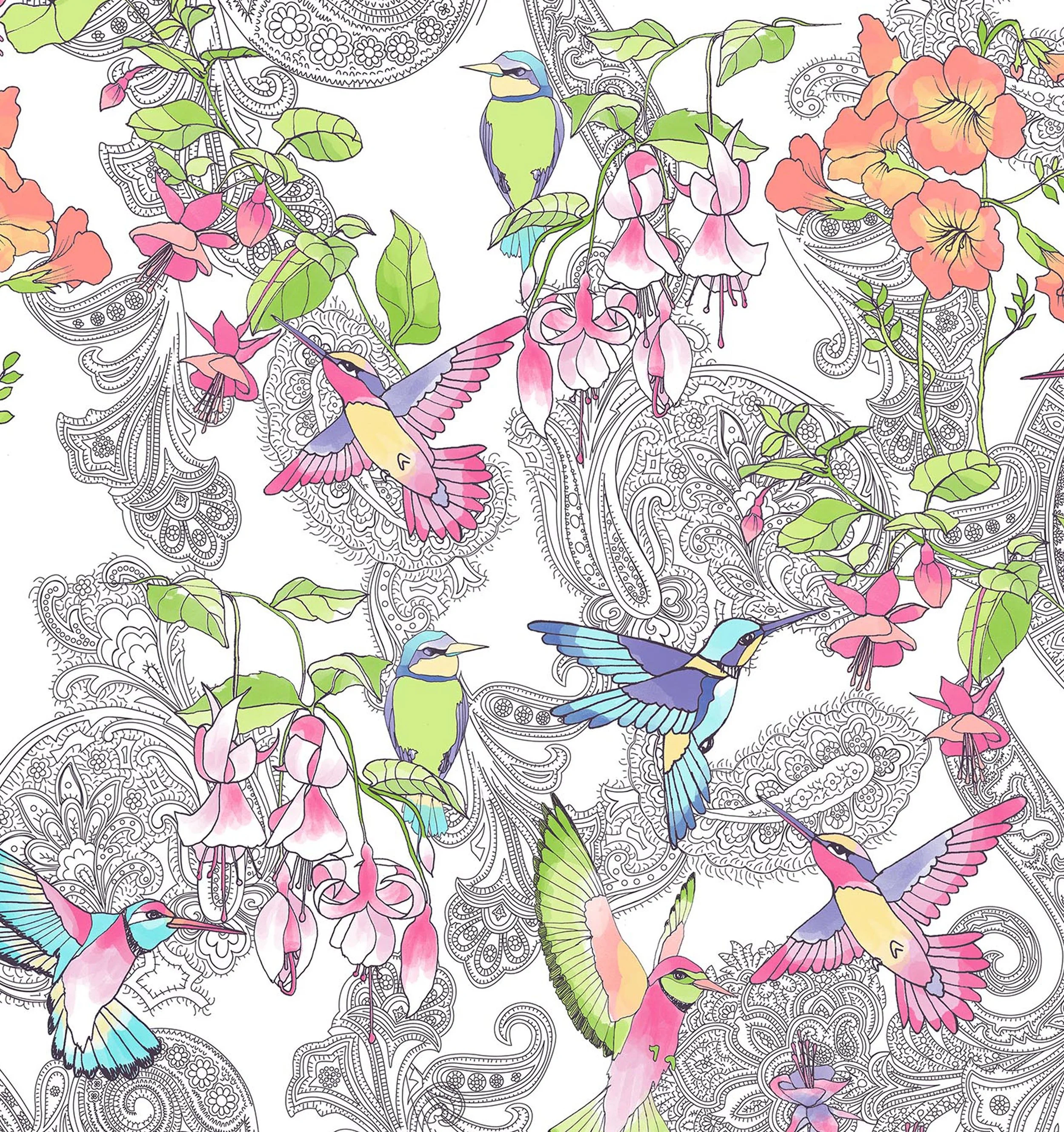 HUMMINGBIRD_PAISLEY_YRD8_MAIN.jpg
