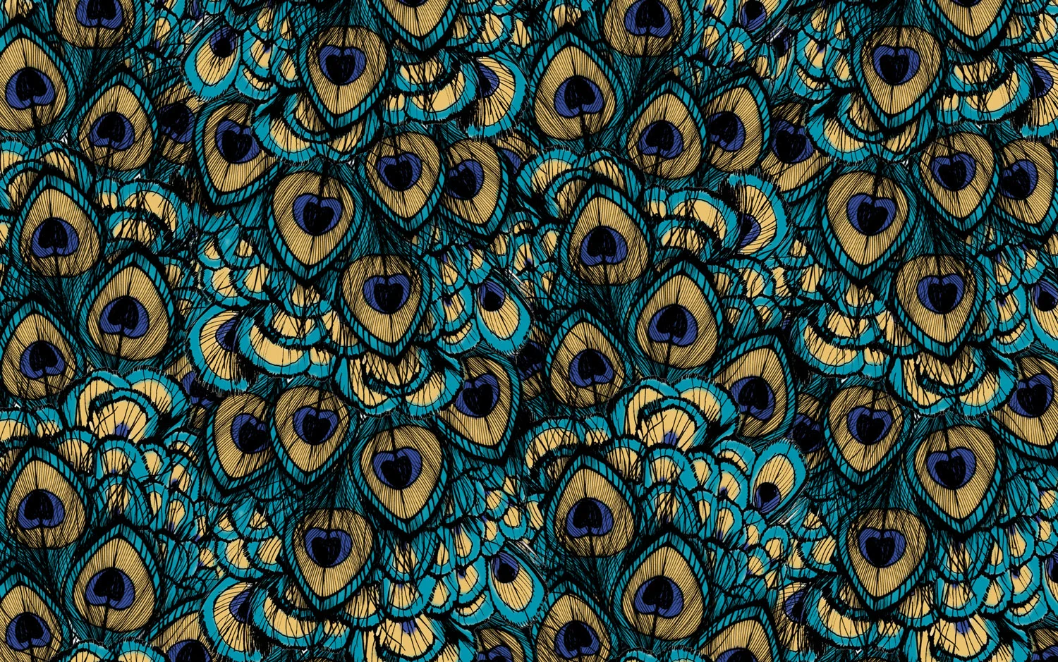 PEACOCK.jpg