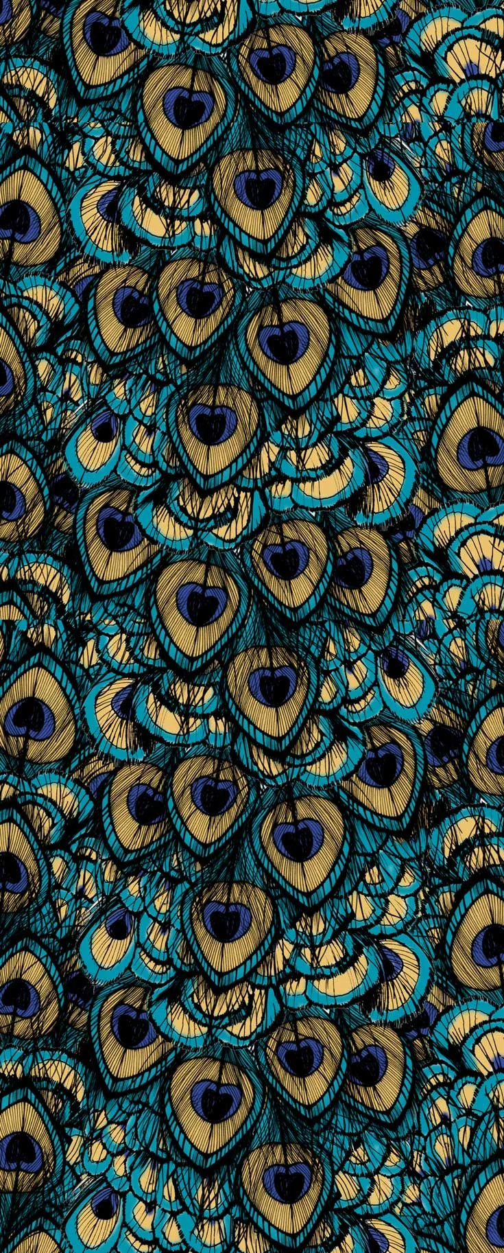 PEACOCK_long.jpg
