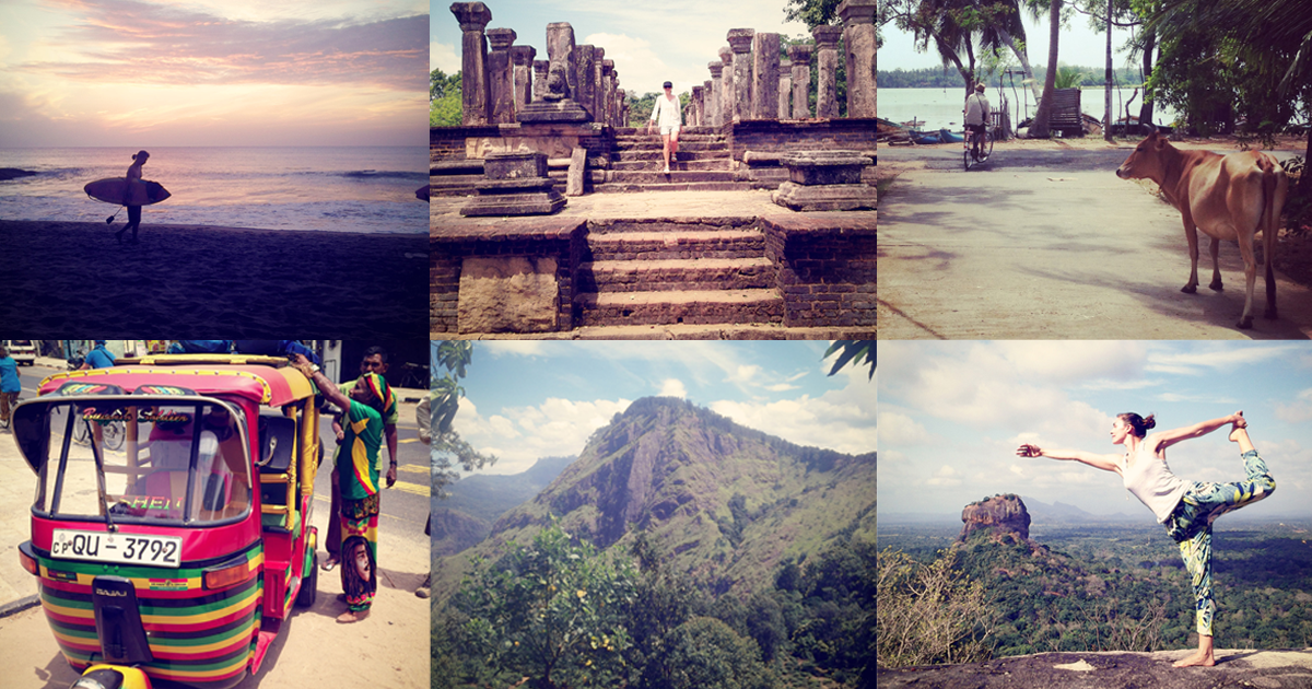 Tea and Enlightenment in Sri Lanka