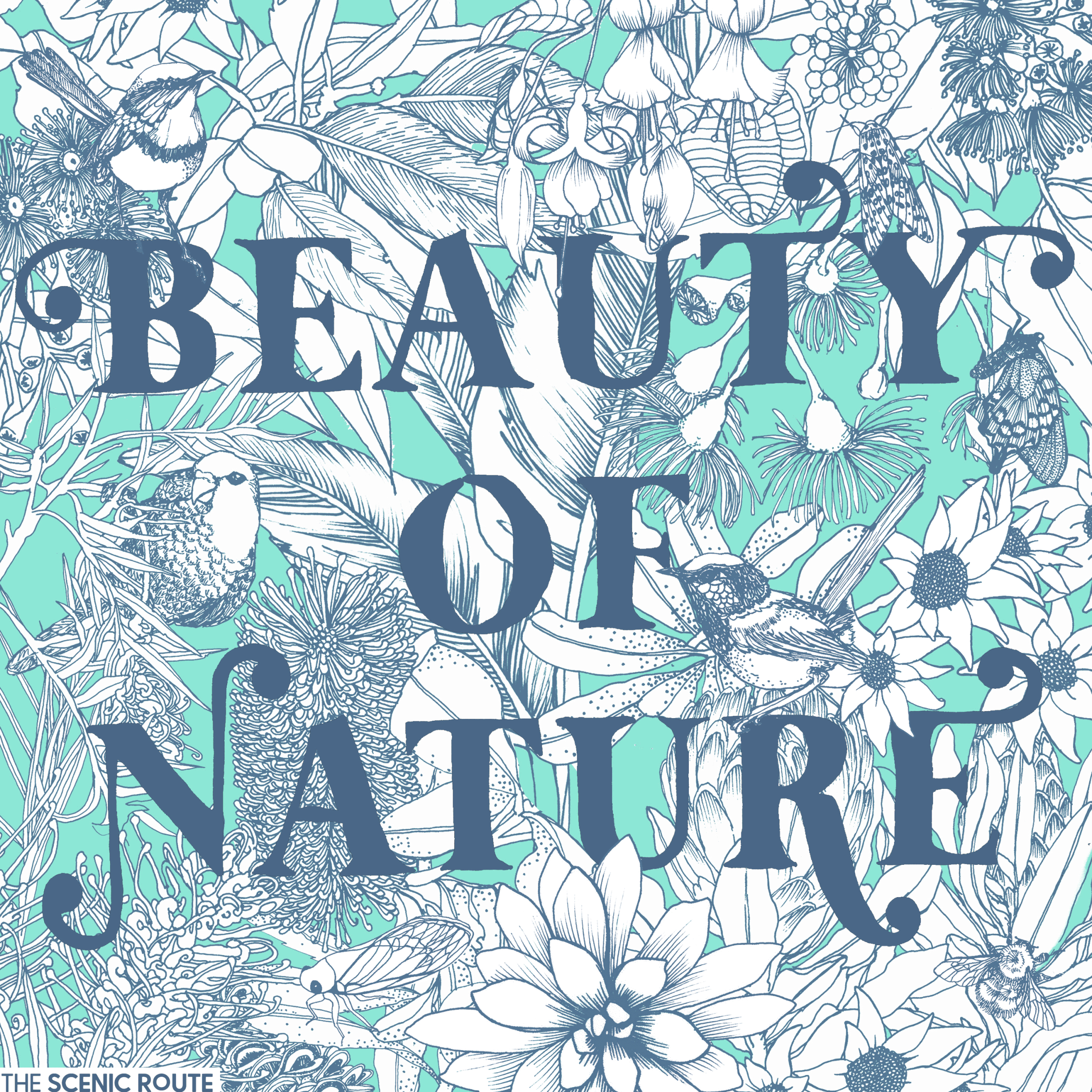 BeautyofNatureInsta.gif