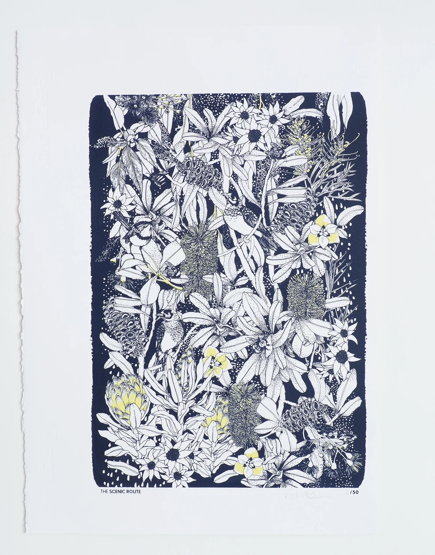 australia-banksia-inspired-black-print