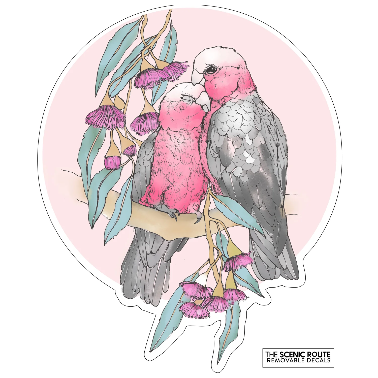 Galahs-decal-single.jpg