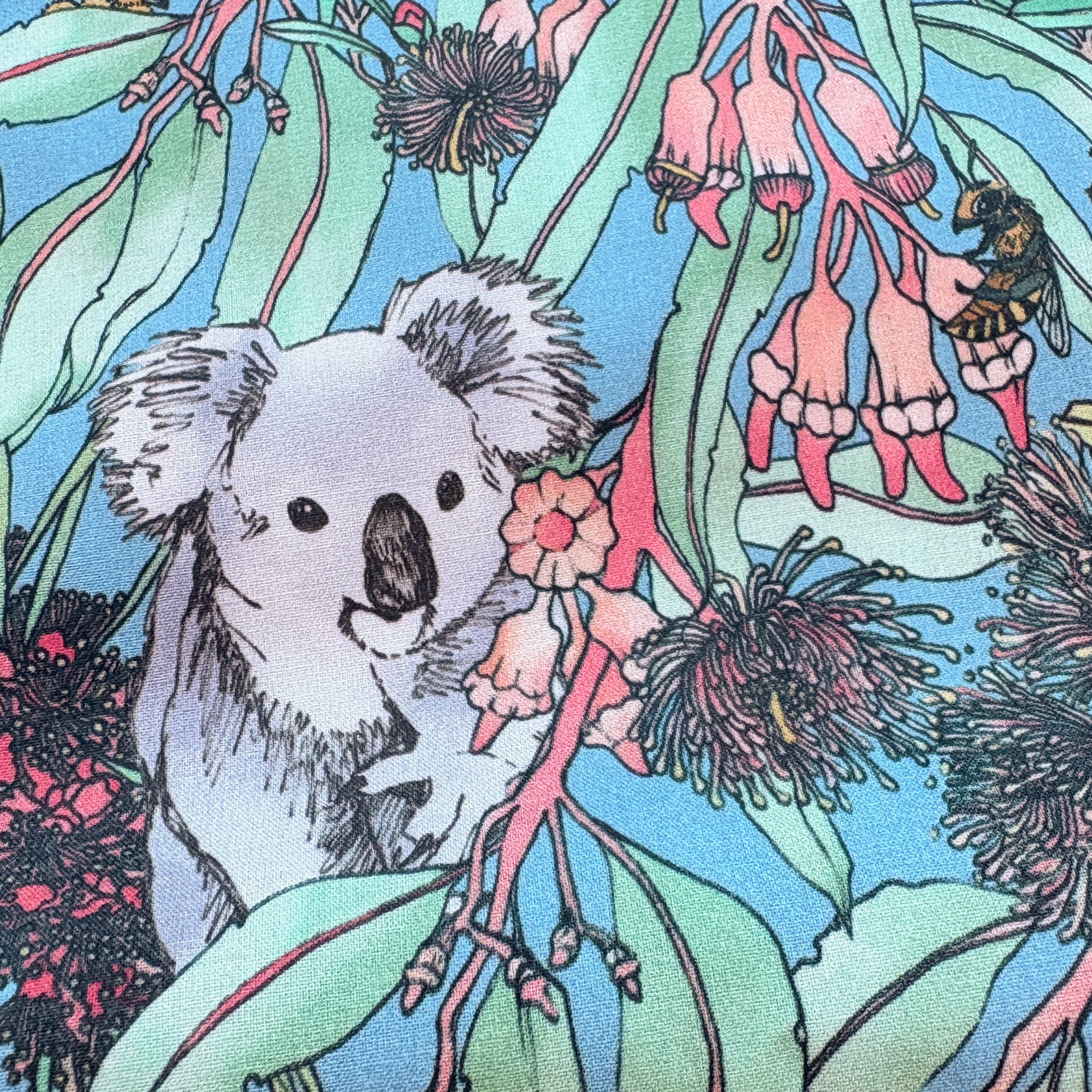 KoalaPark-closeup2.png