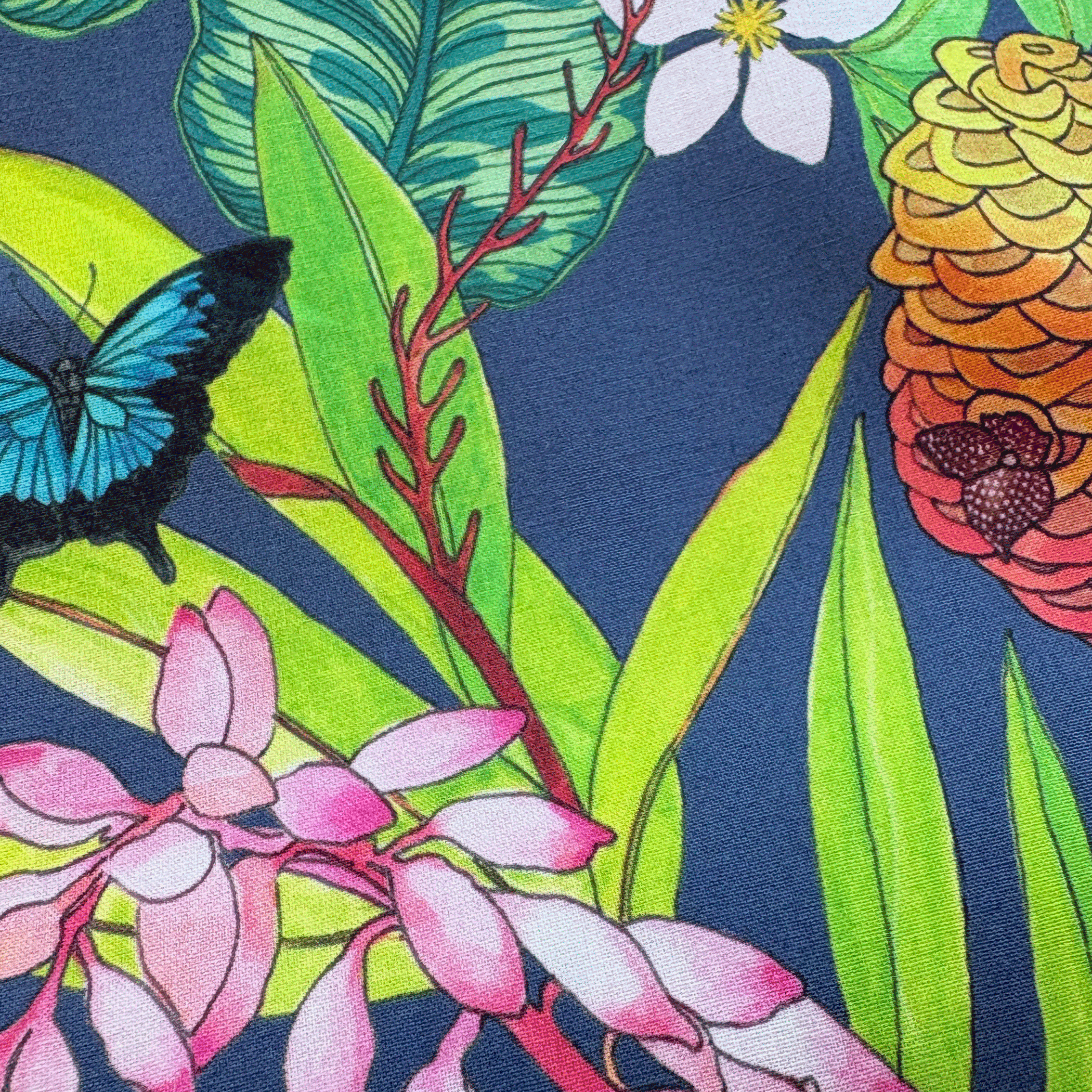 Butterfly-Garden-closeup3.png