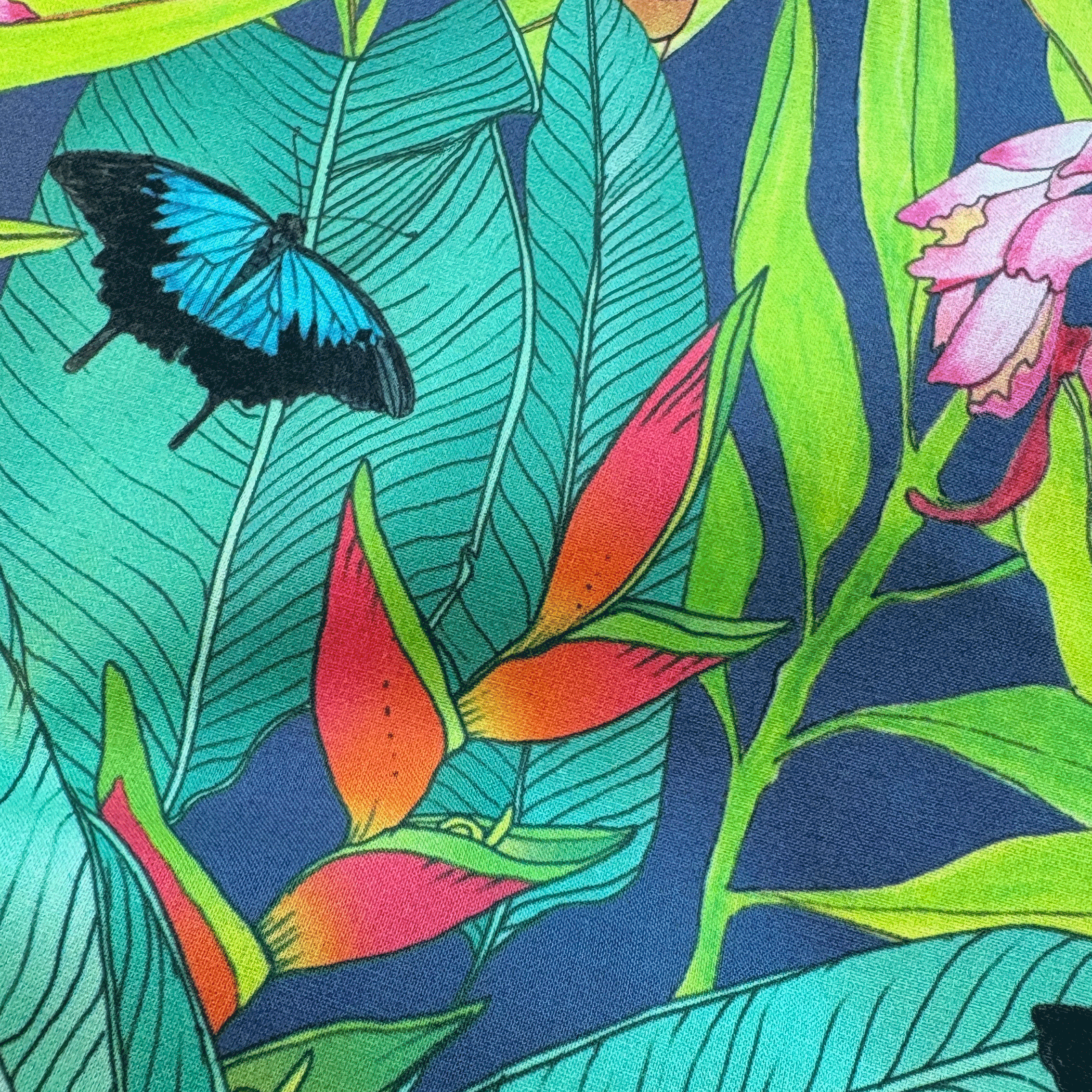 Butterfly-Garden-closeup4.png