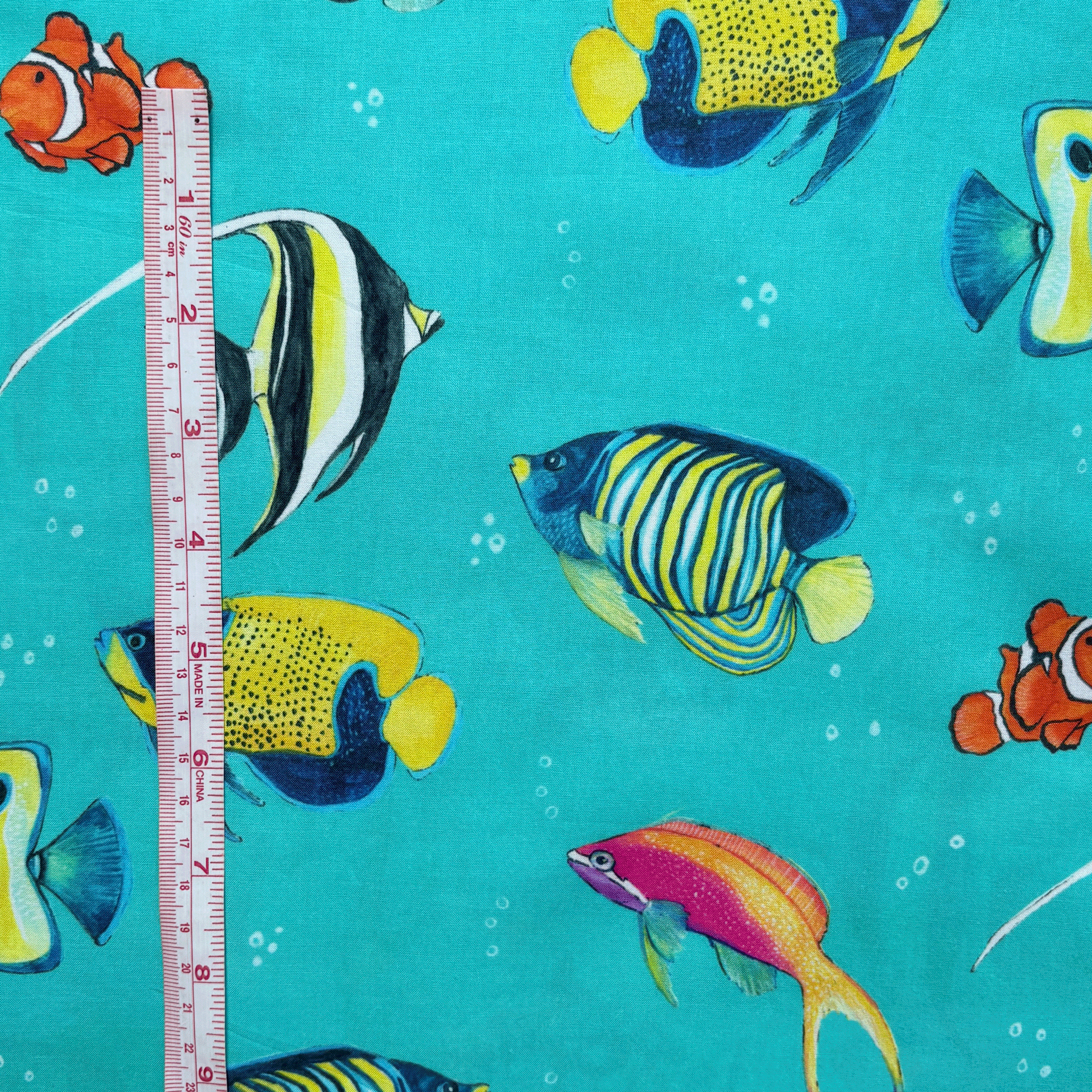 REEF-FISH-measure.png
