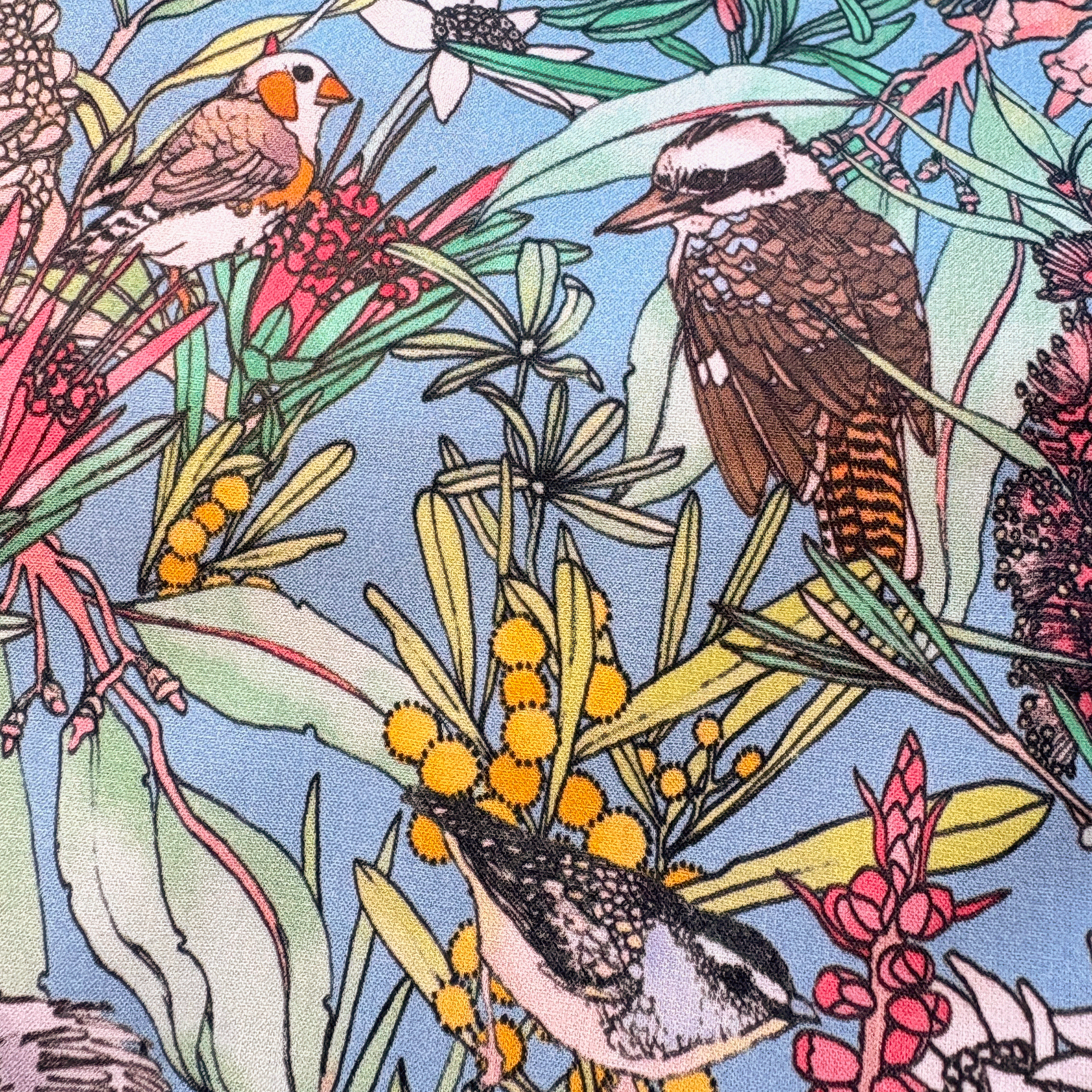 KoalaPark-closeup.png