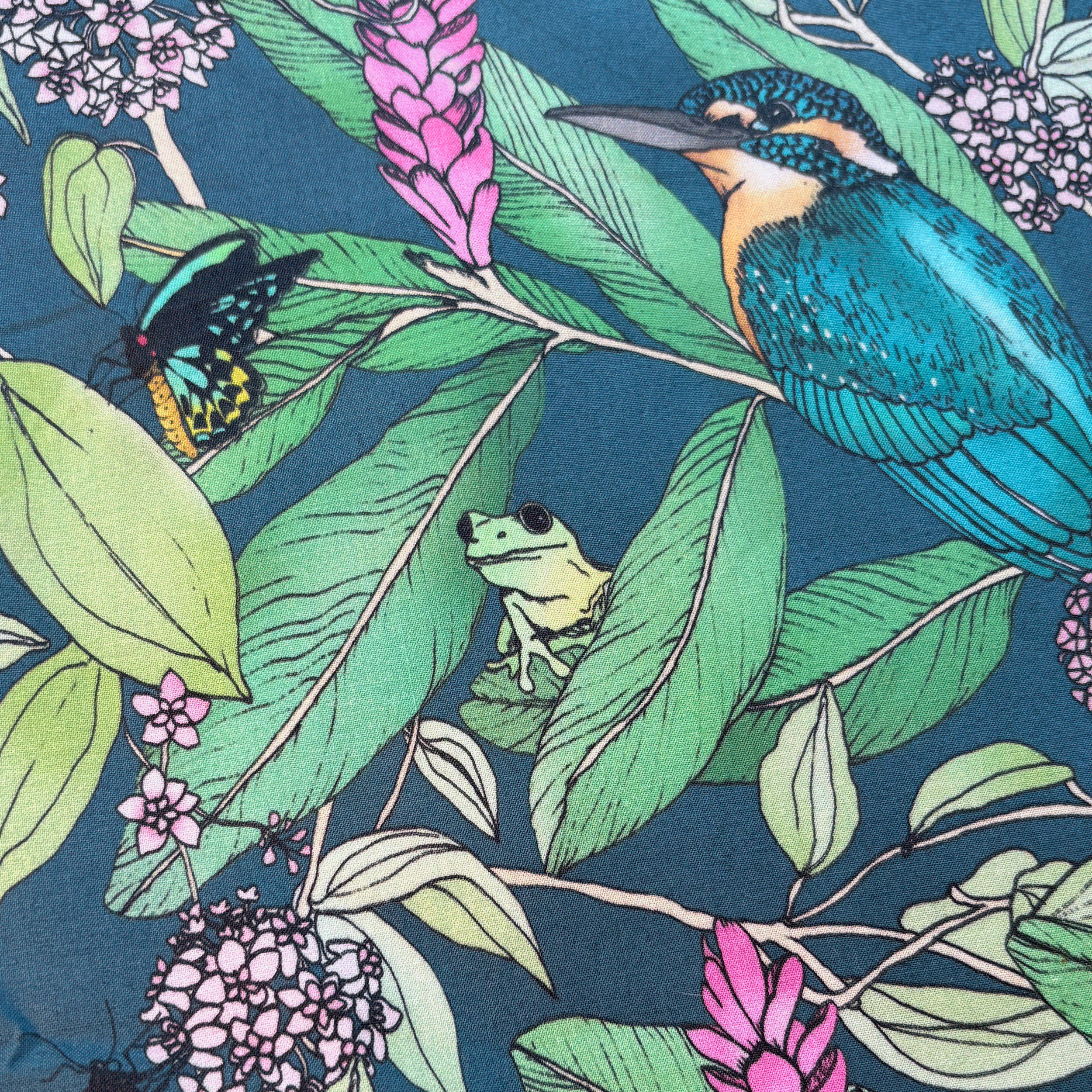 Kingfisher-close1.png
