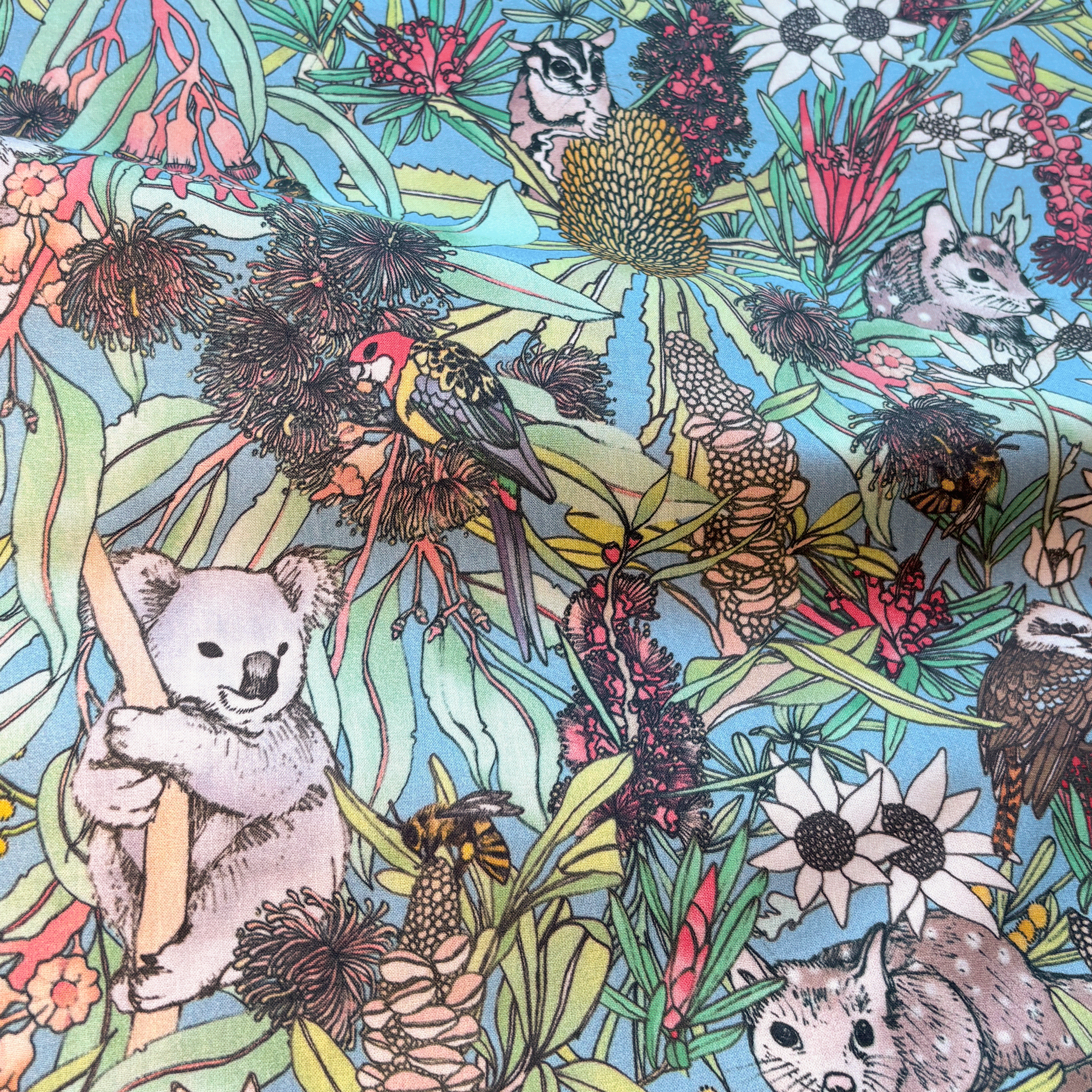 KoalaPark-Draped.png