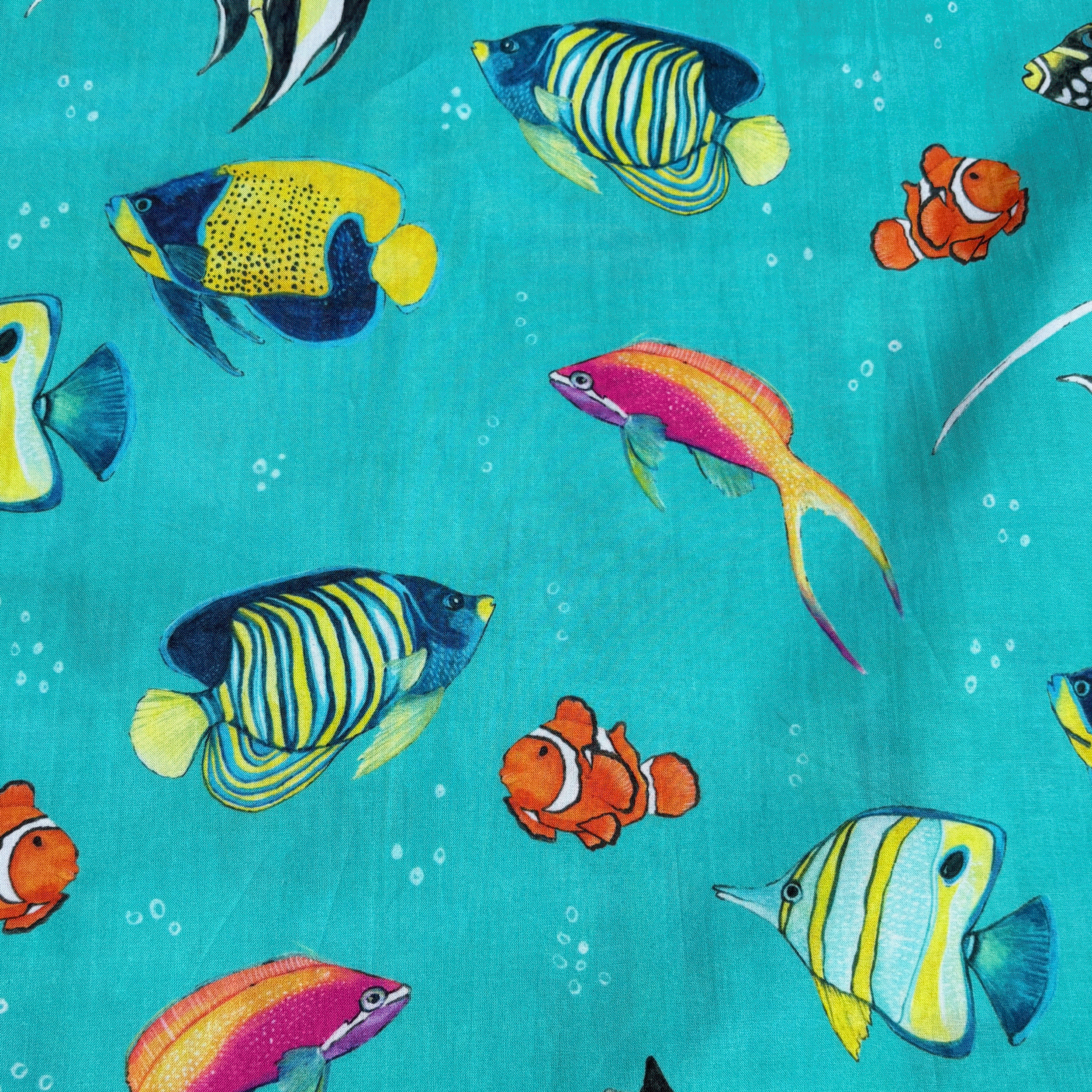 REEF-FISH-main.png
