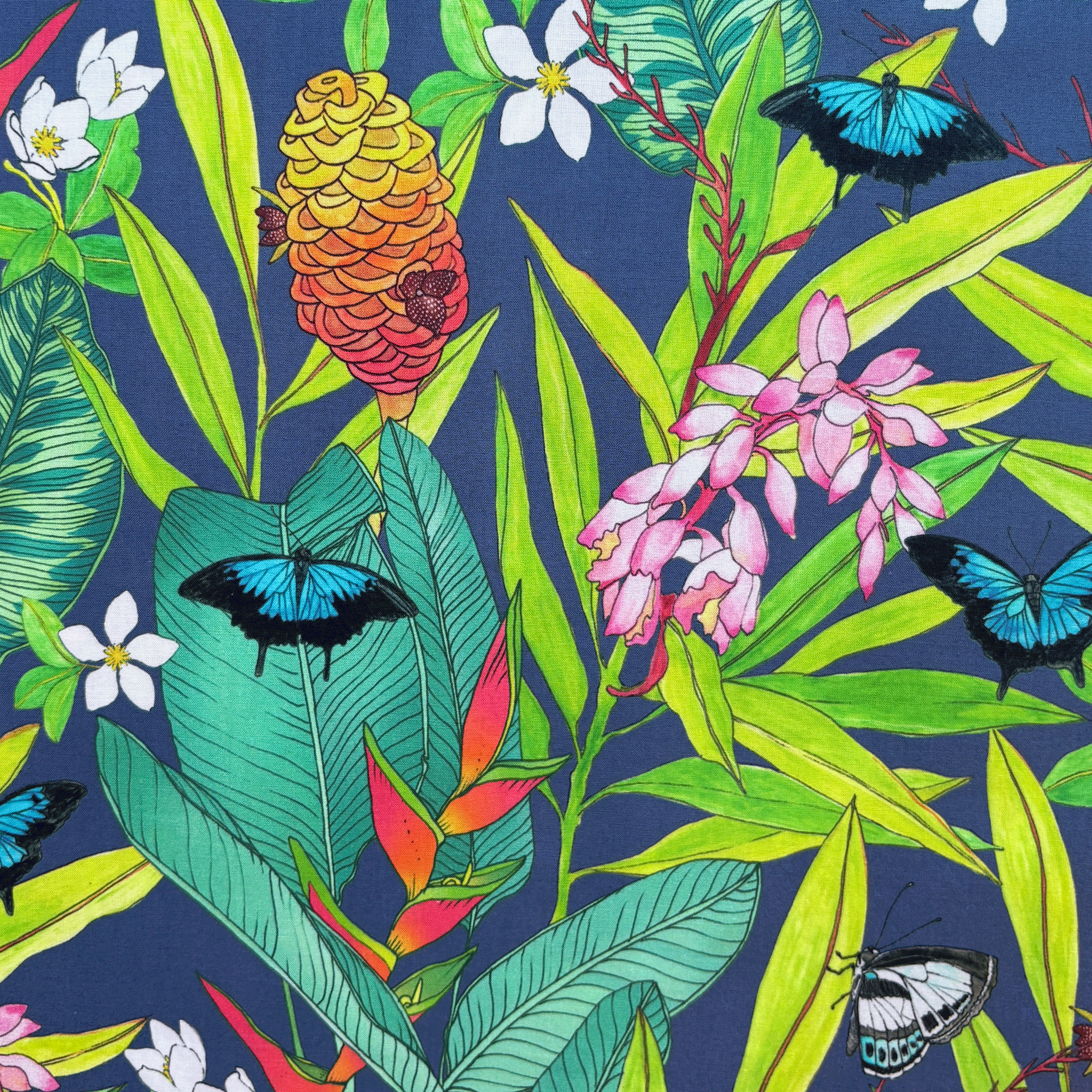 Butterfly-Garden-Main.png