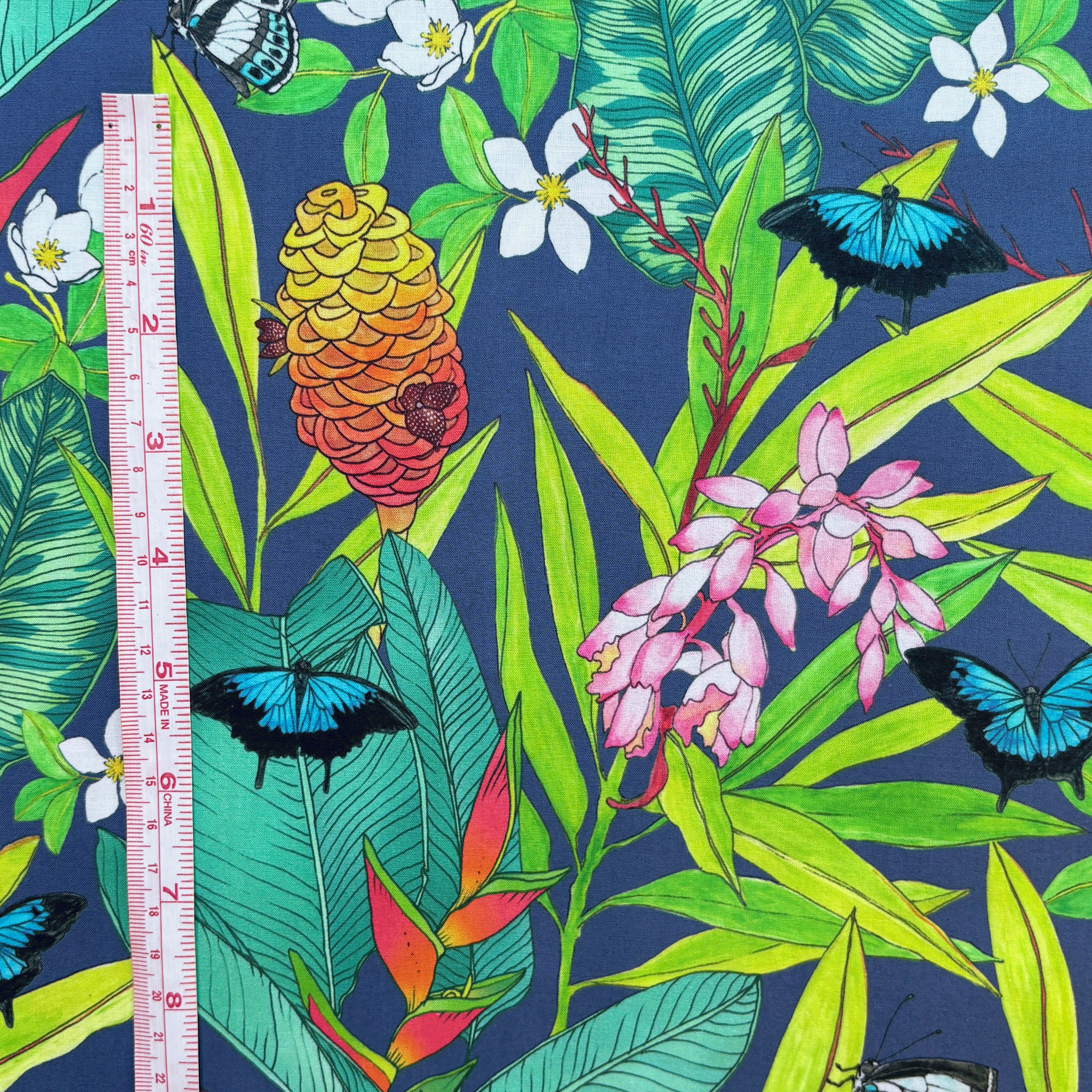 Butterfly-Garden-Measure.png