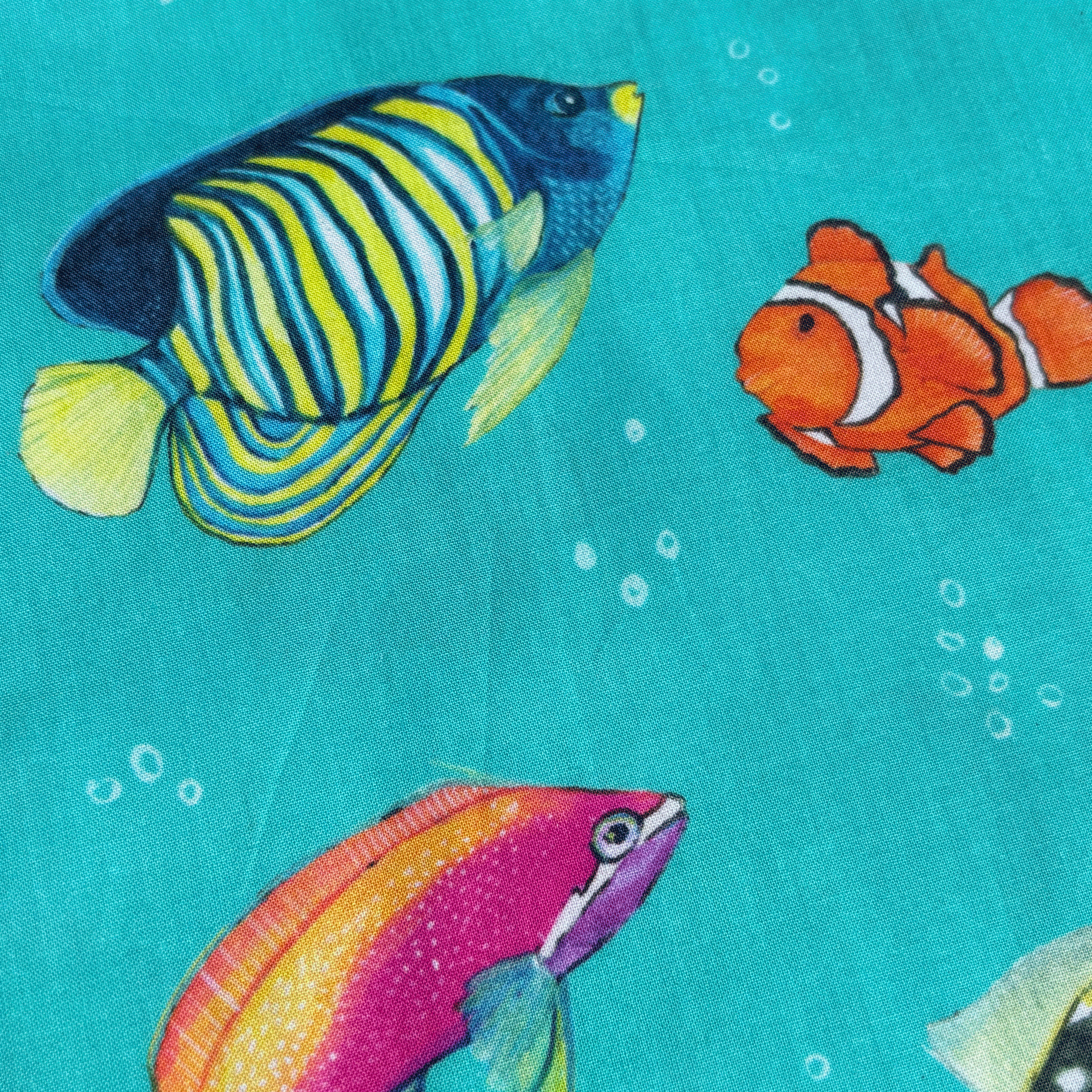 REEF-FISH-close2.png