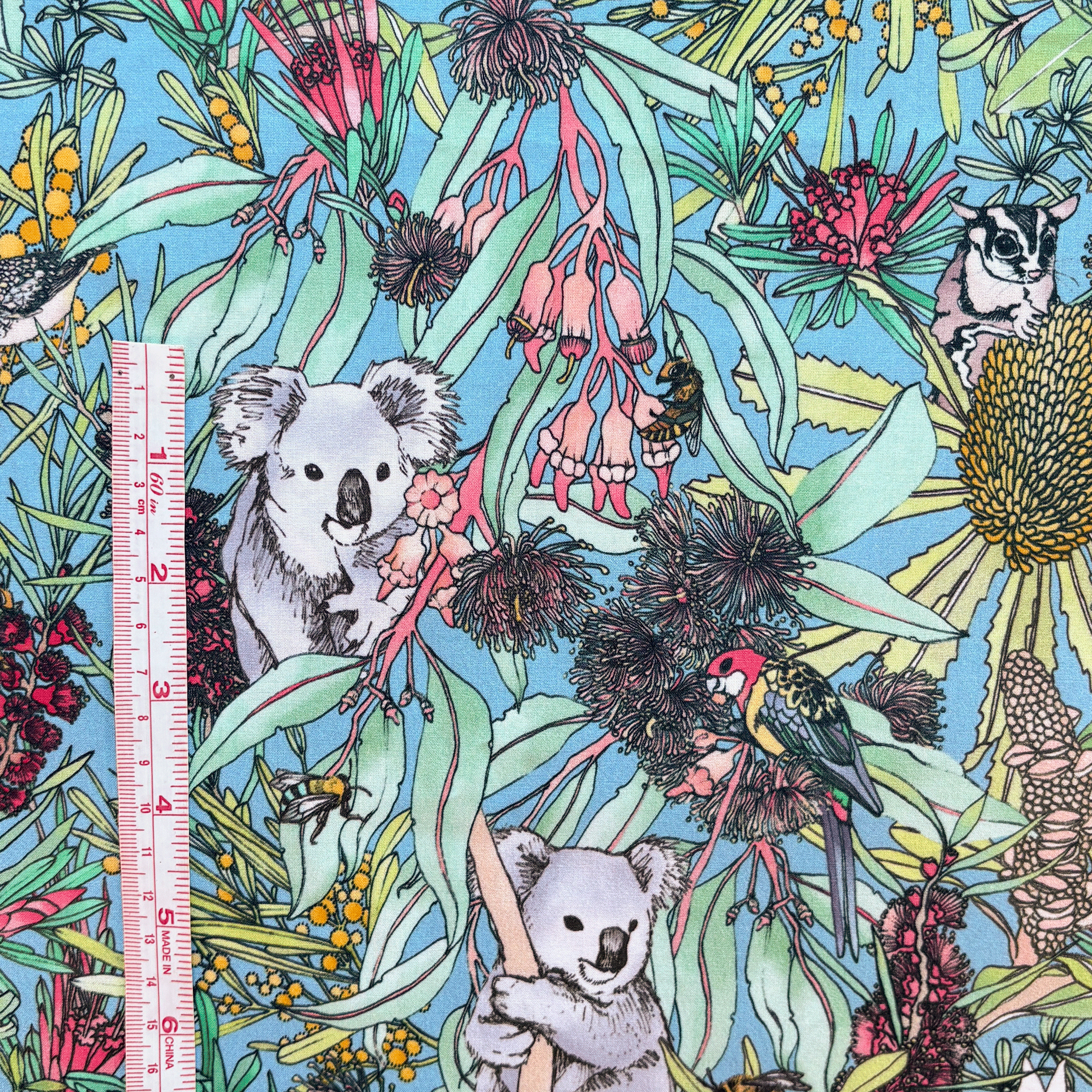 KoalaPark-Measure.png