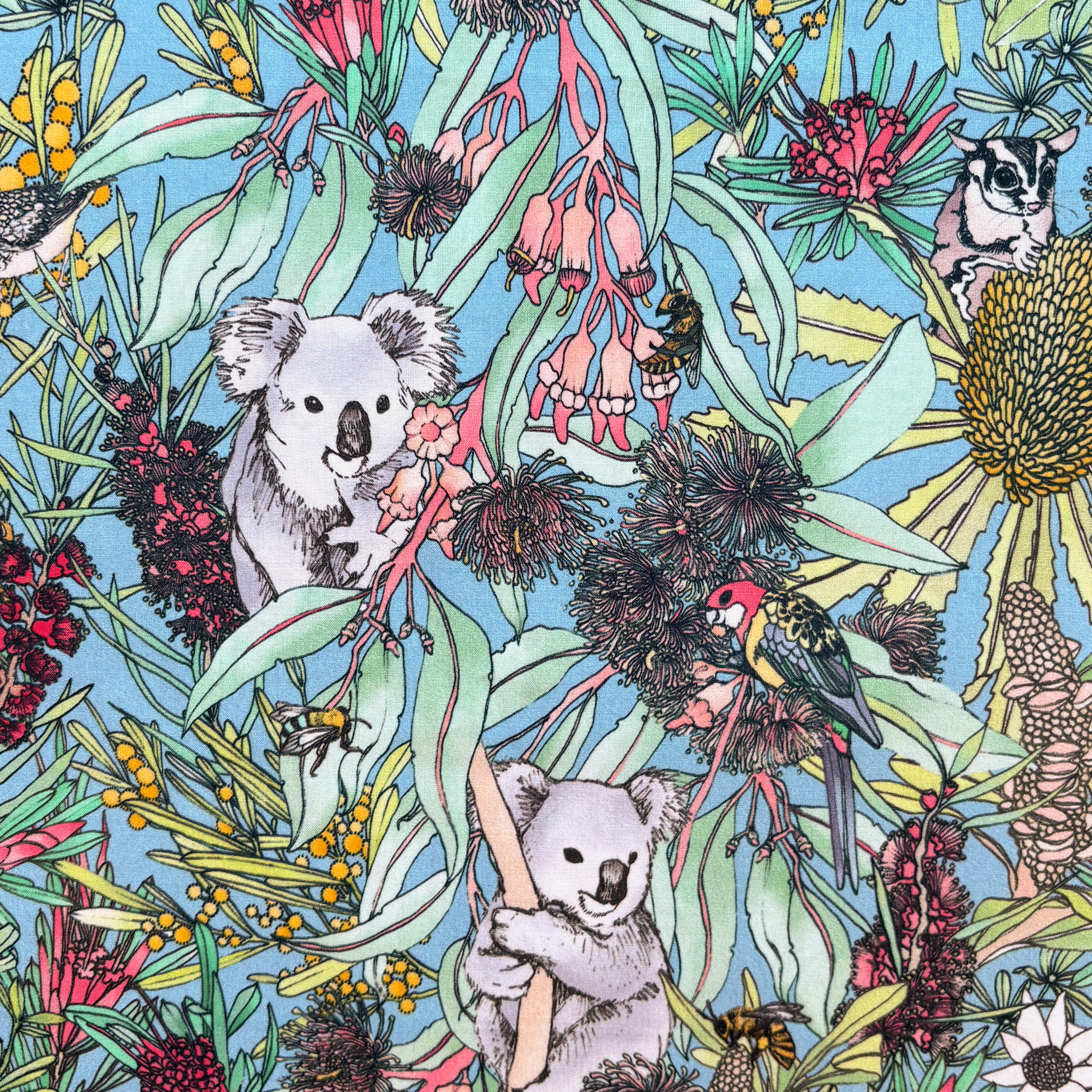 KoalaPark-Main.png