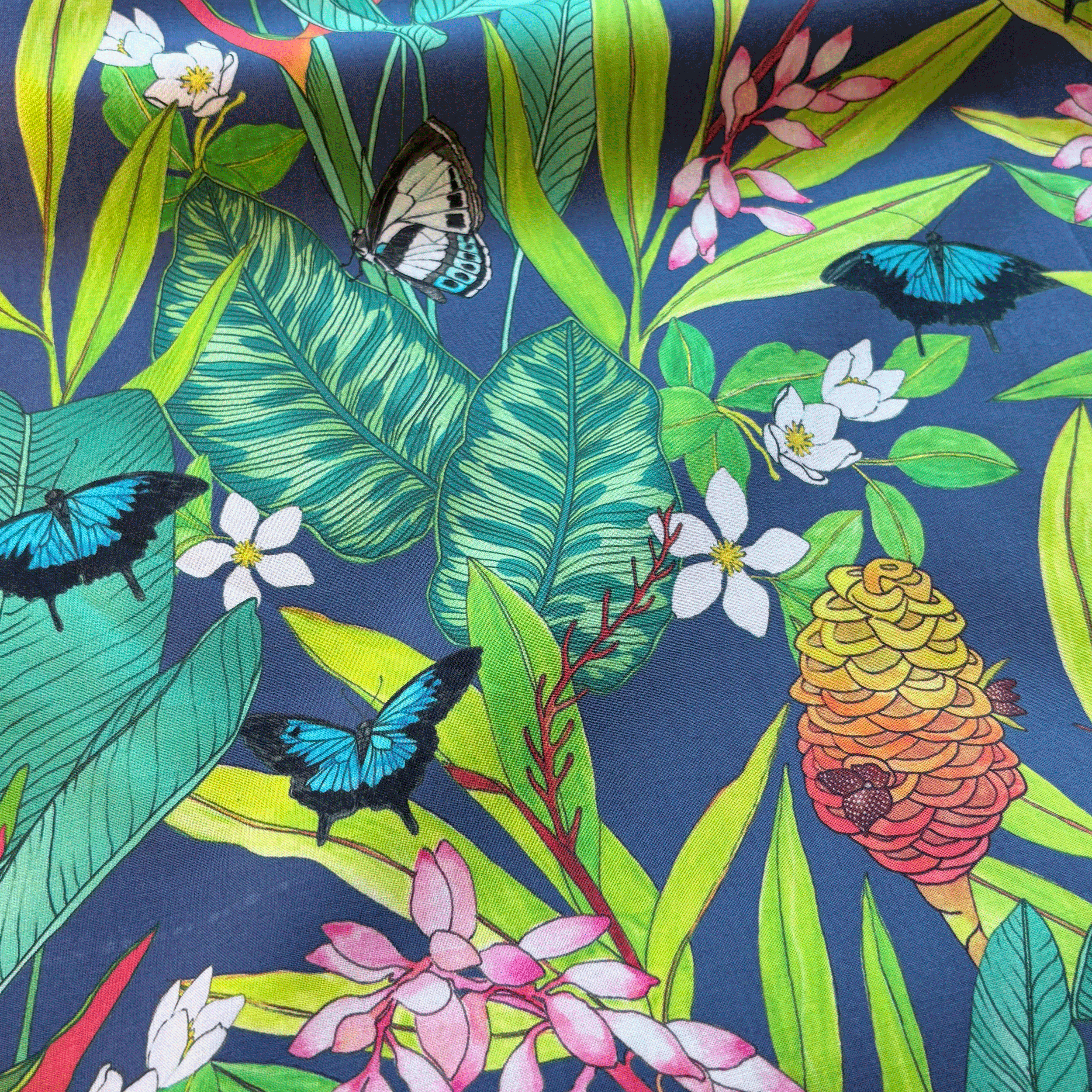 Butterfly-Garden-Drape.png