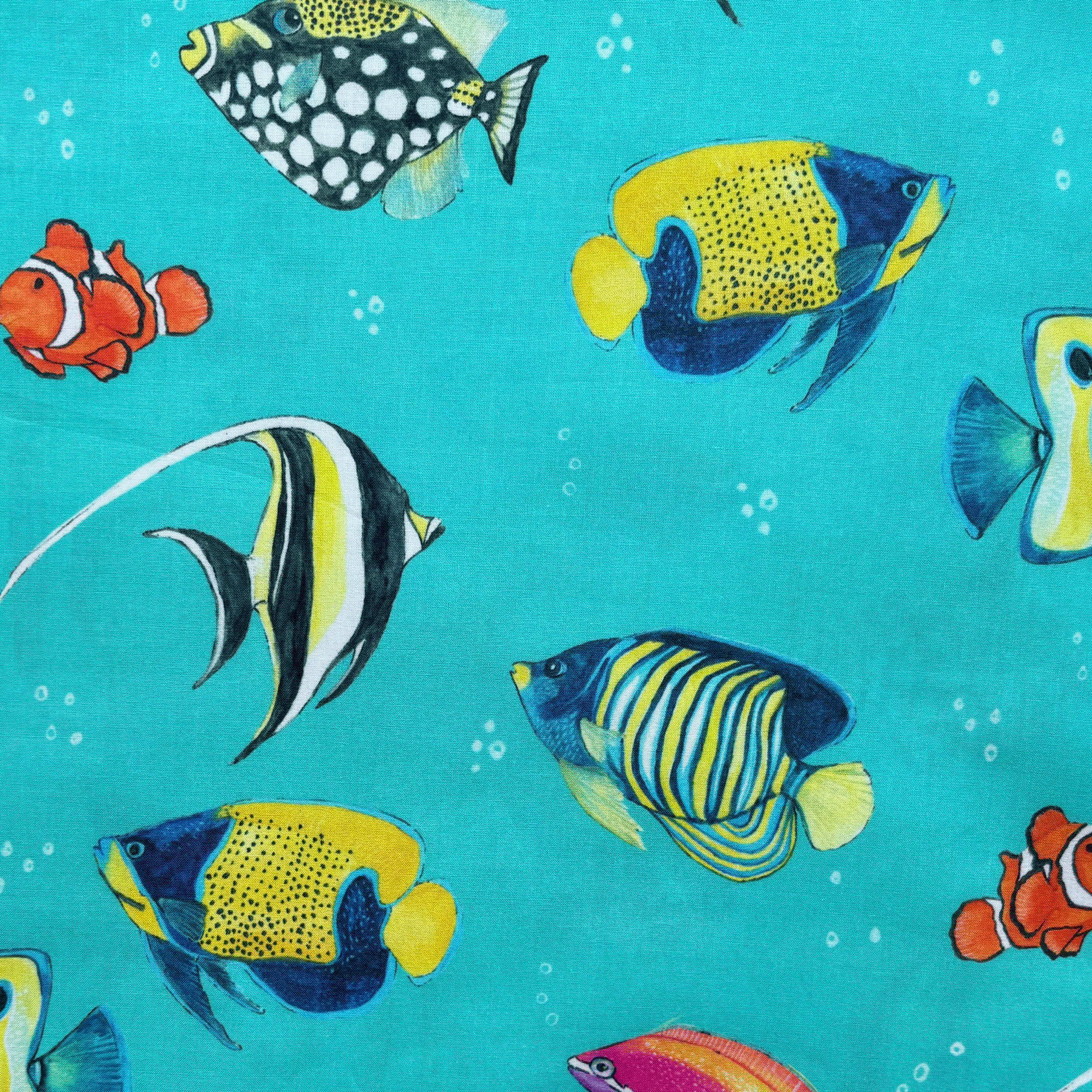 REEF-FISH-close1.png